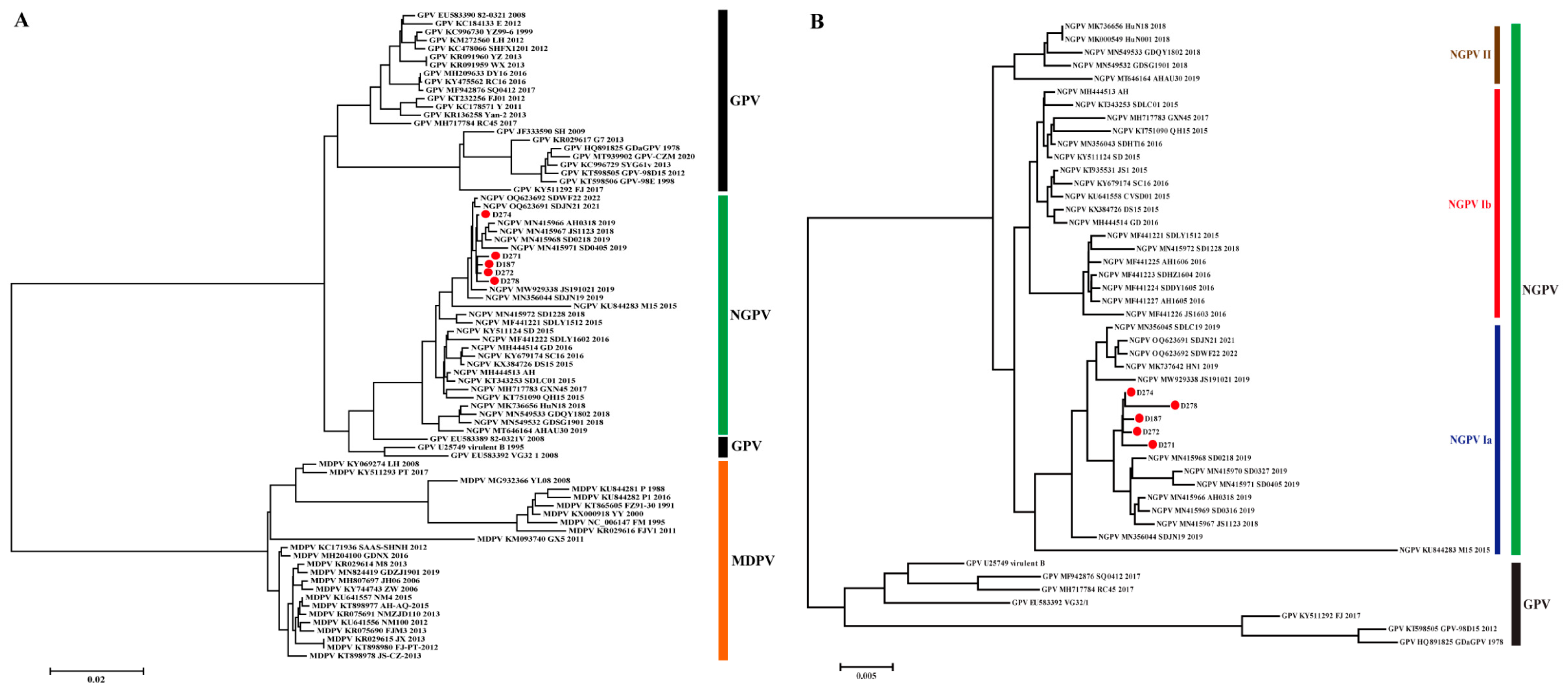 Animals 15 02696 g001 Animals 15 02696 g001