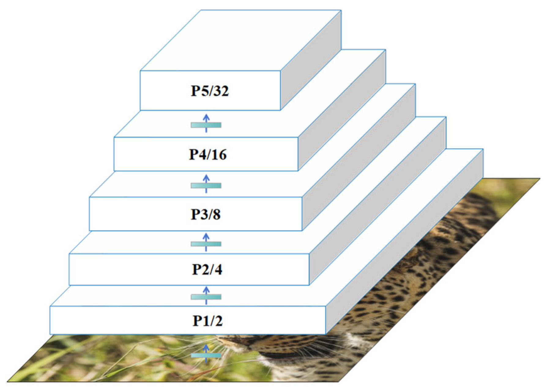 Animals 15 02699 g003