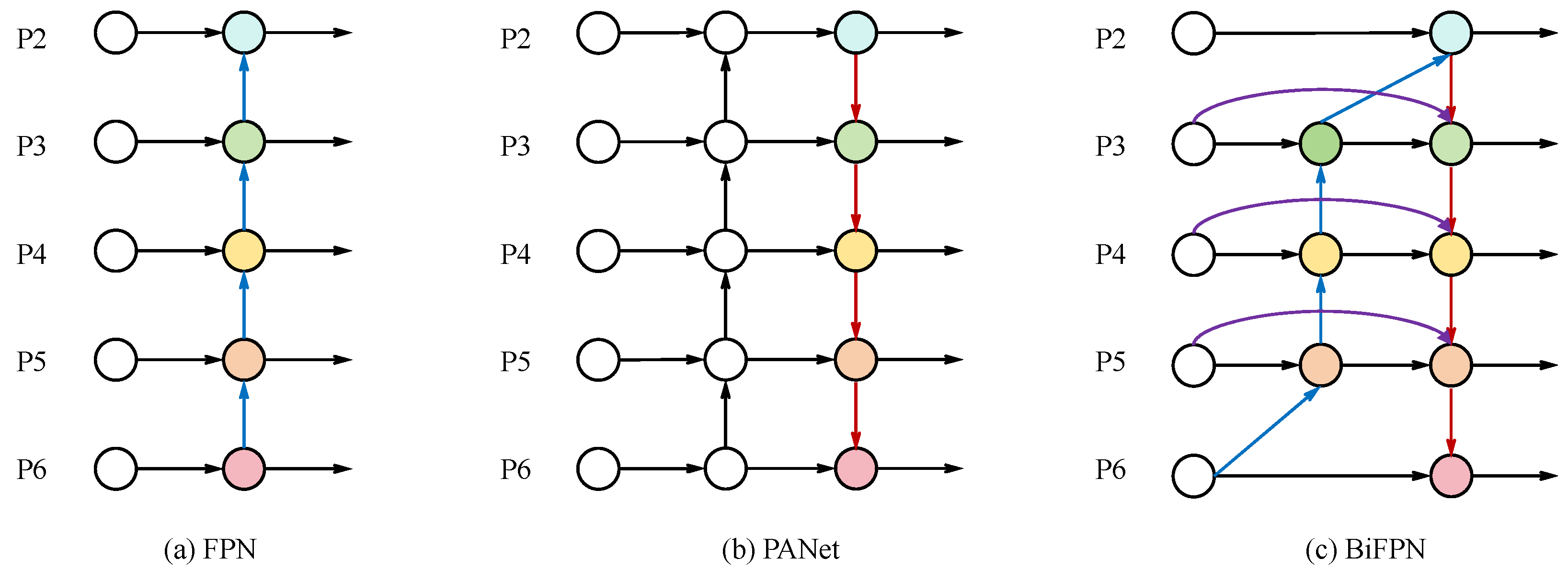 Animals 15 02699 g004