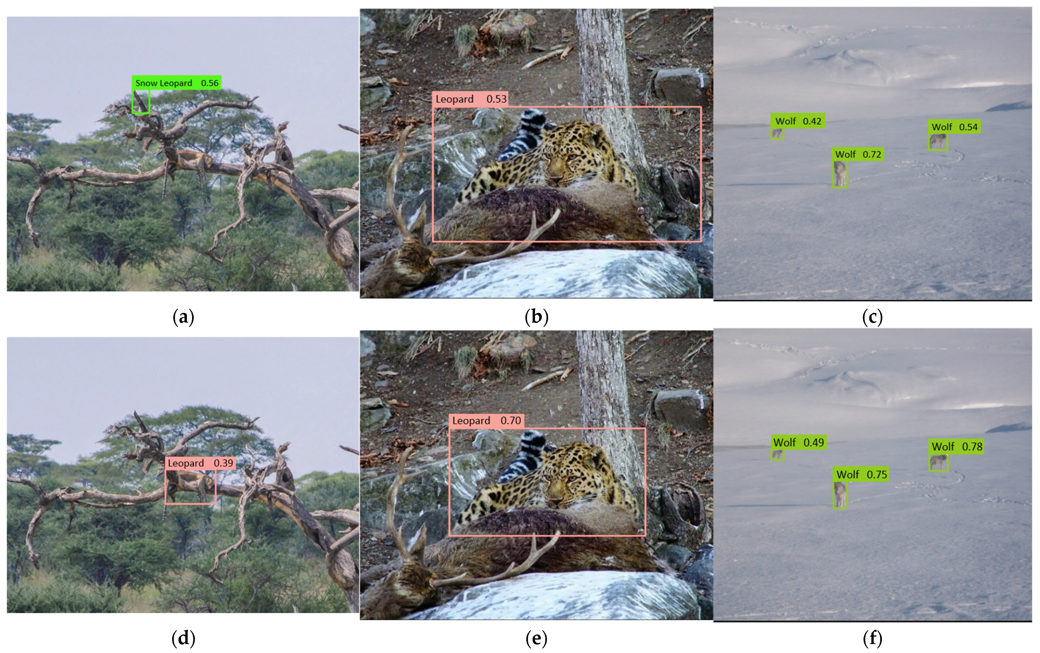 Animals 15 02699 g008