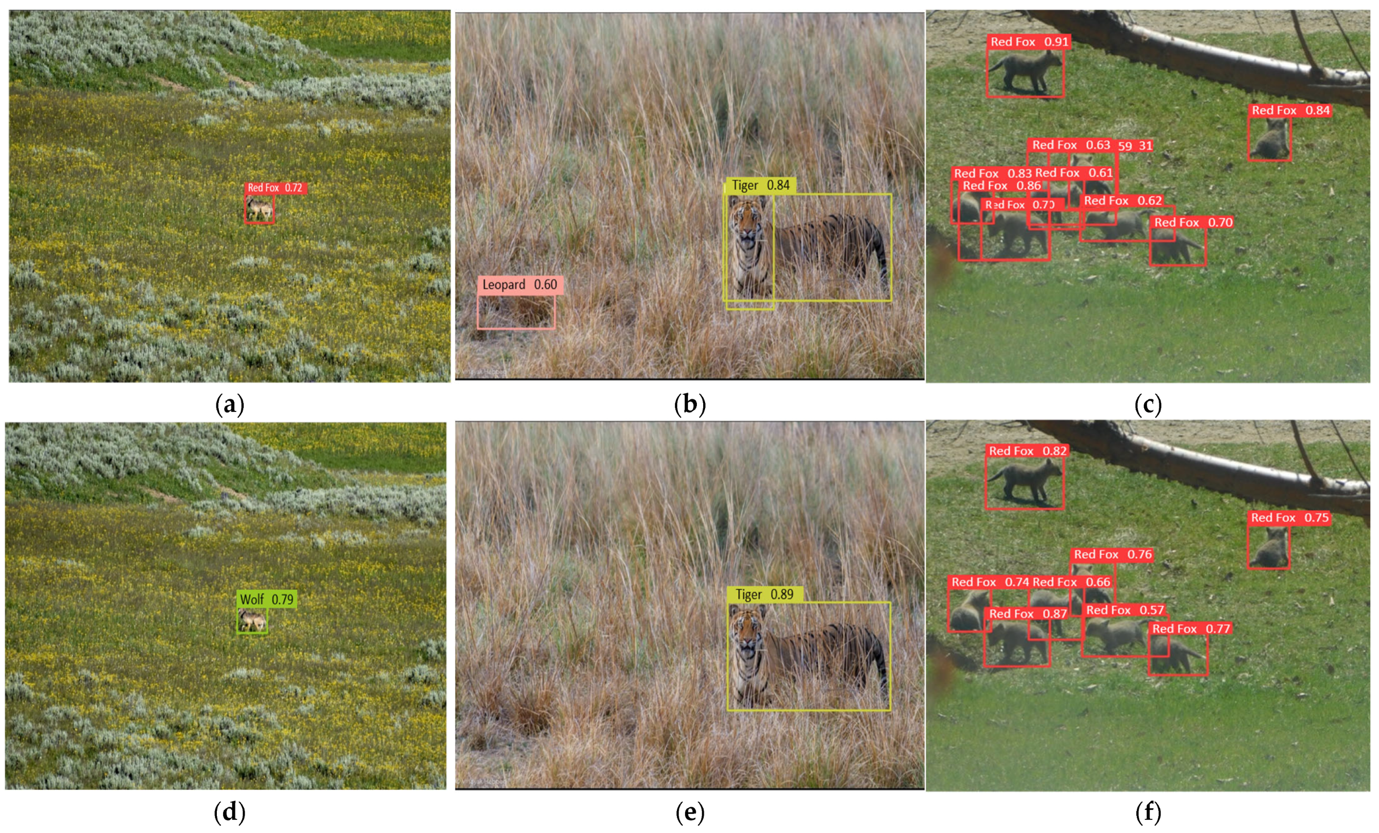 Animals 15 02699 g009