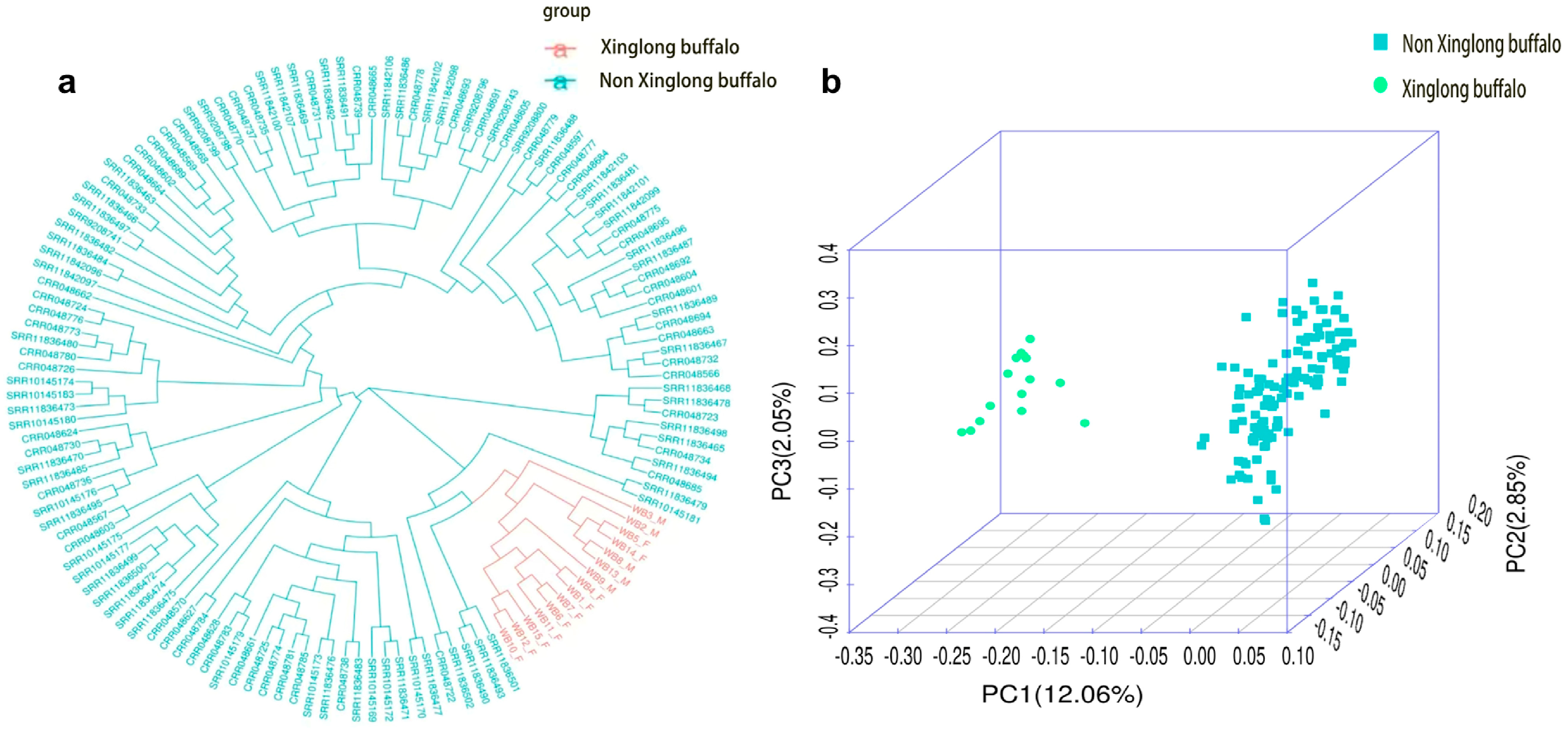 Animals 15 02702 g001 Animals 15 02702 g001