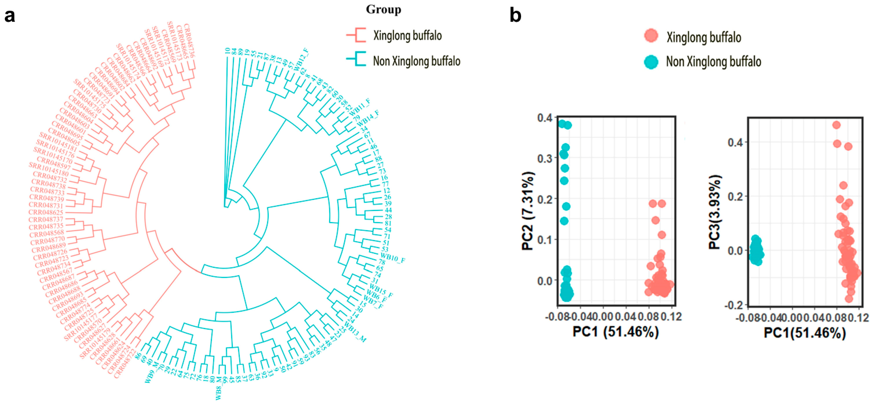 Animals 15 02702 g005 Animals 15 02702 g005