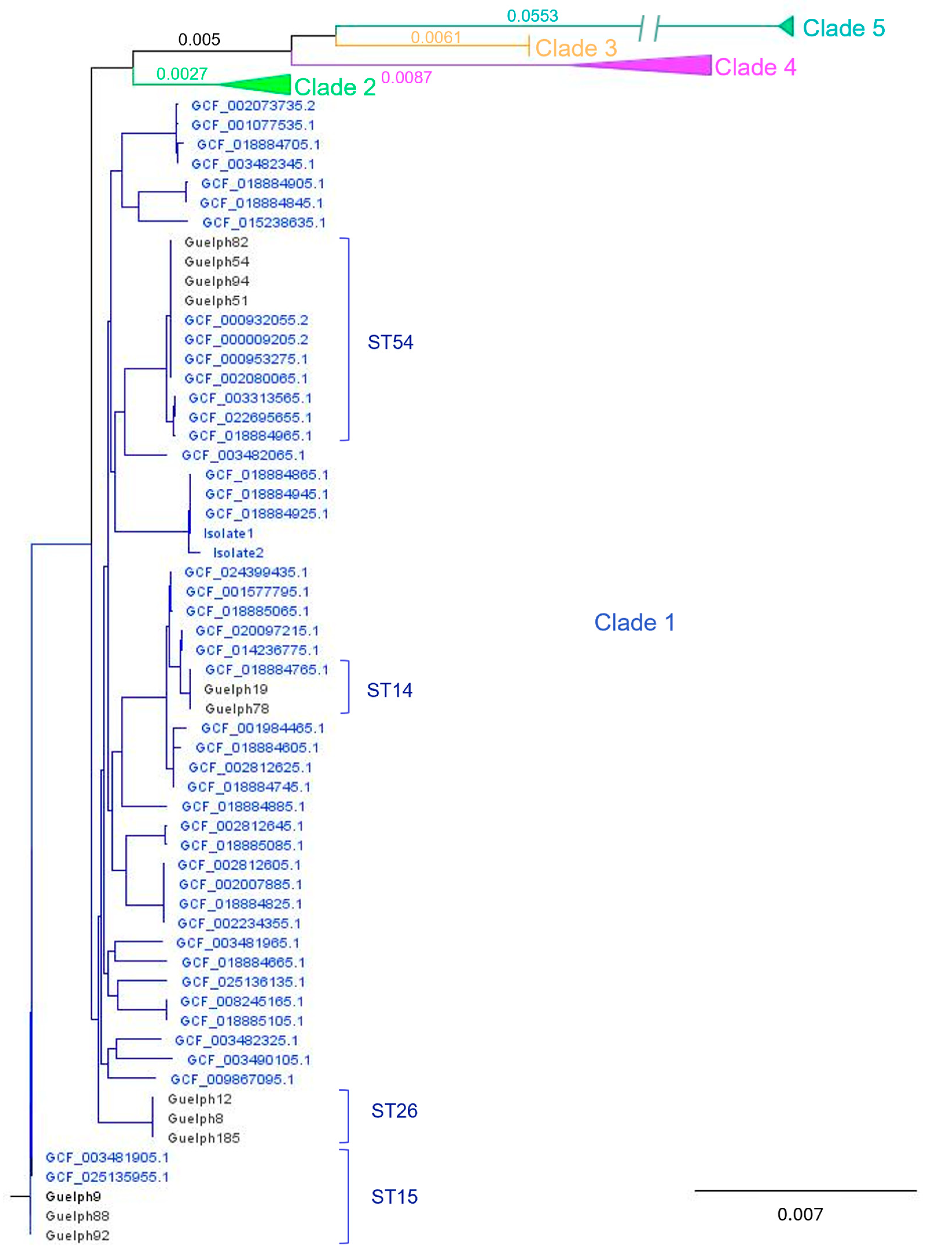 Animals 15 02703 g001 Animals 15 02703 g001