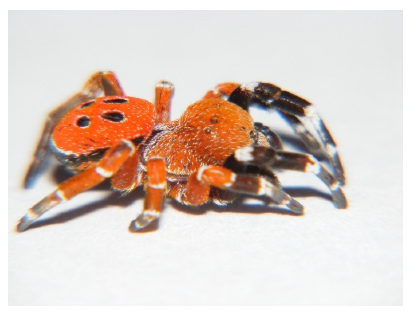 Animals 15 02707 g003