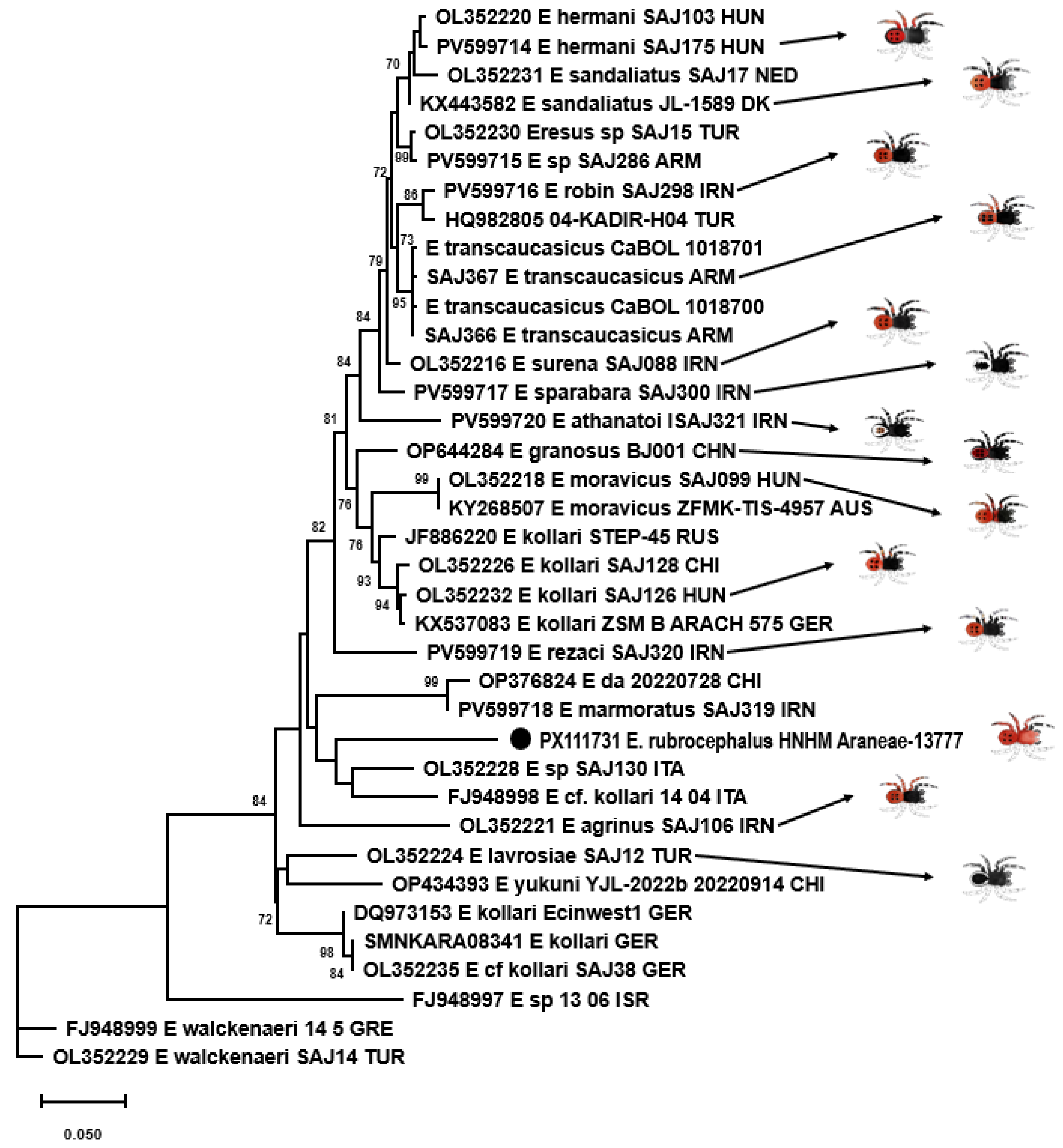 Animals 15 02707 g007
