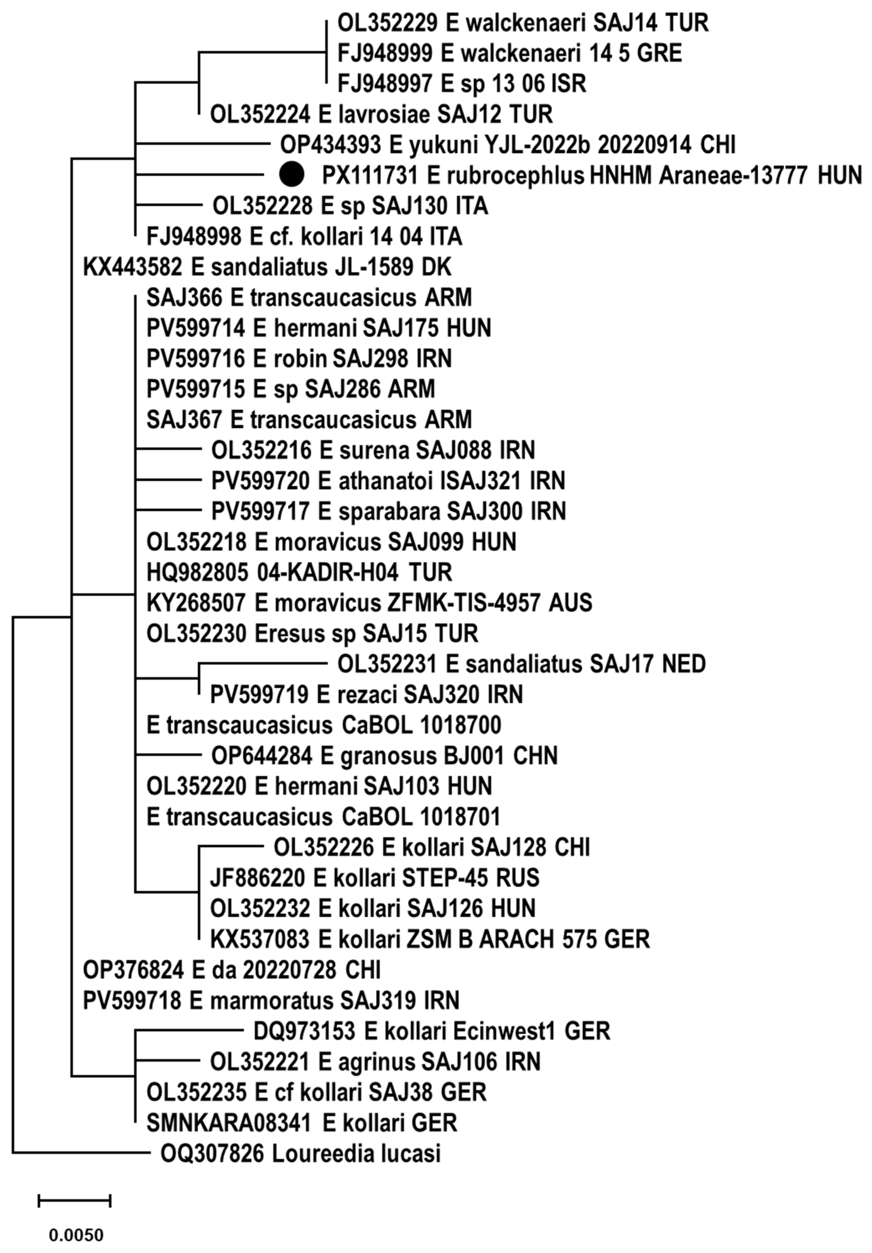 Animals 15 02707 g009