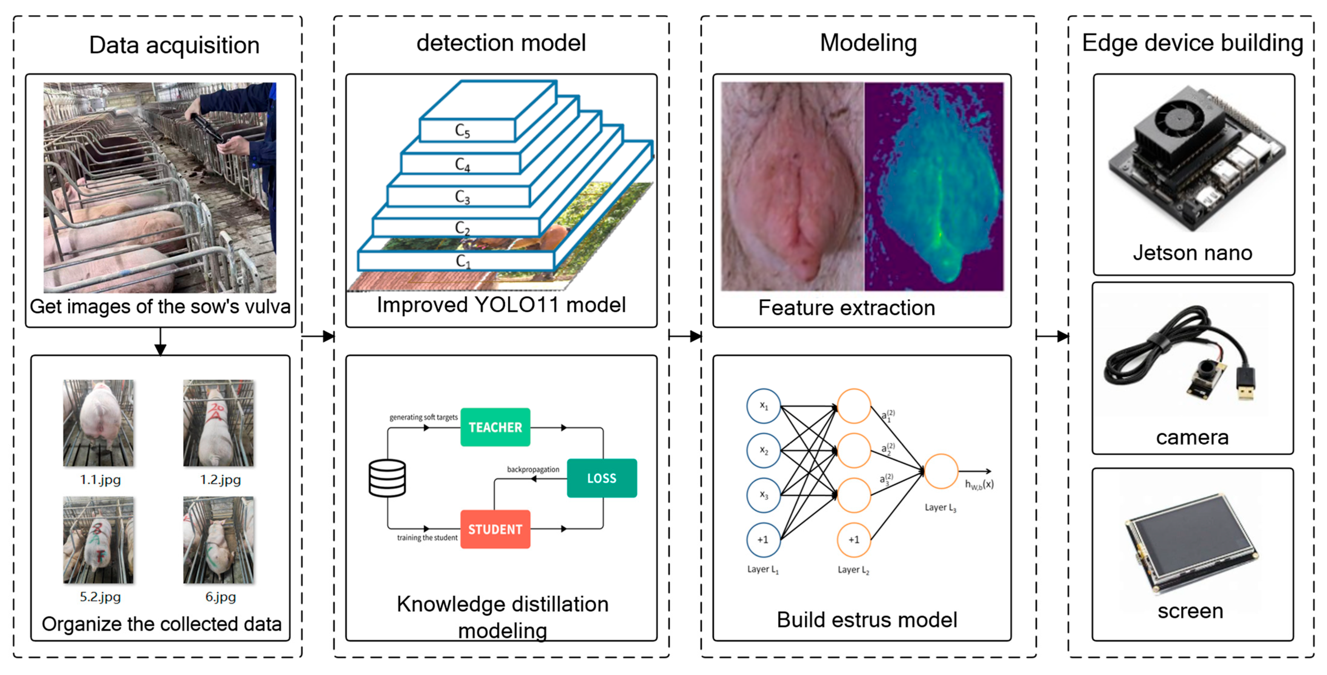 Animals 15 02709 g001