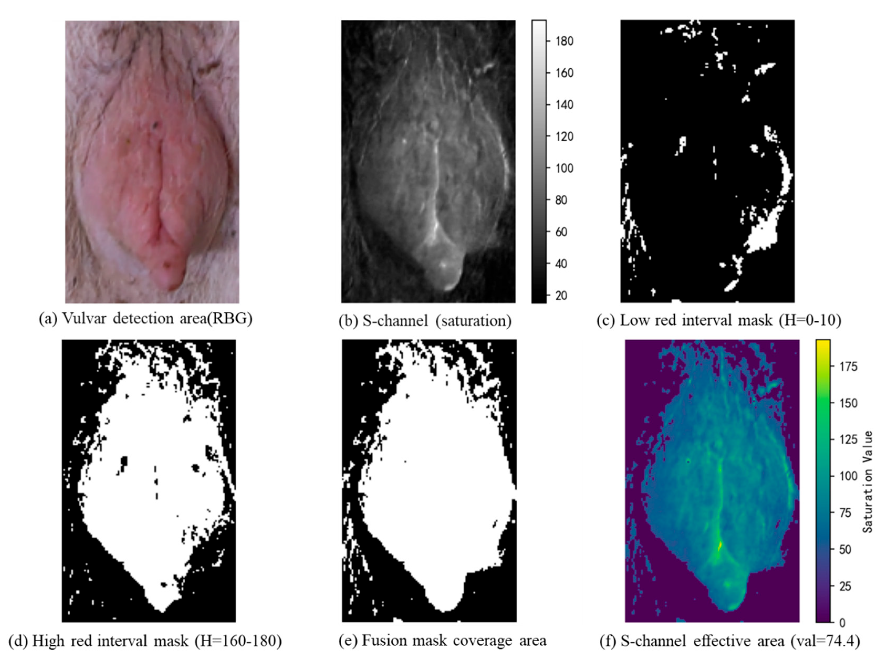 Animals 15 02709 g008