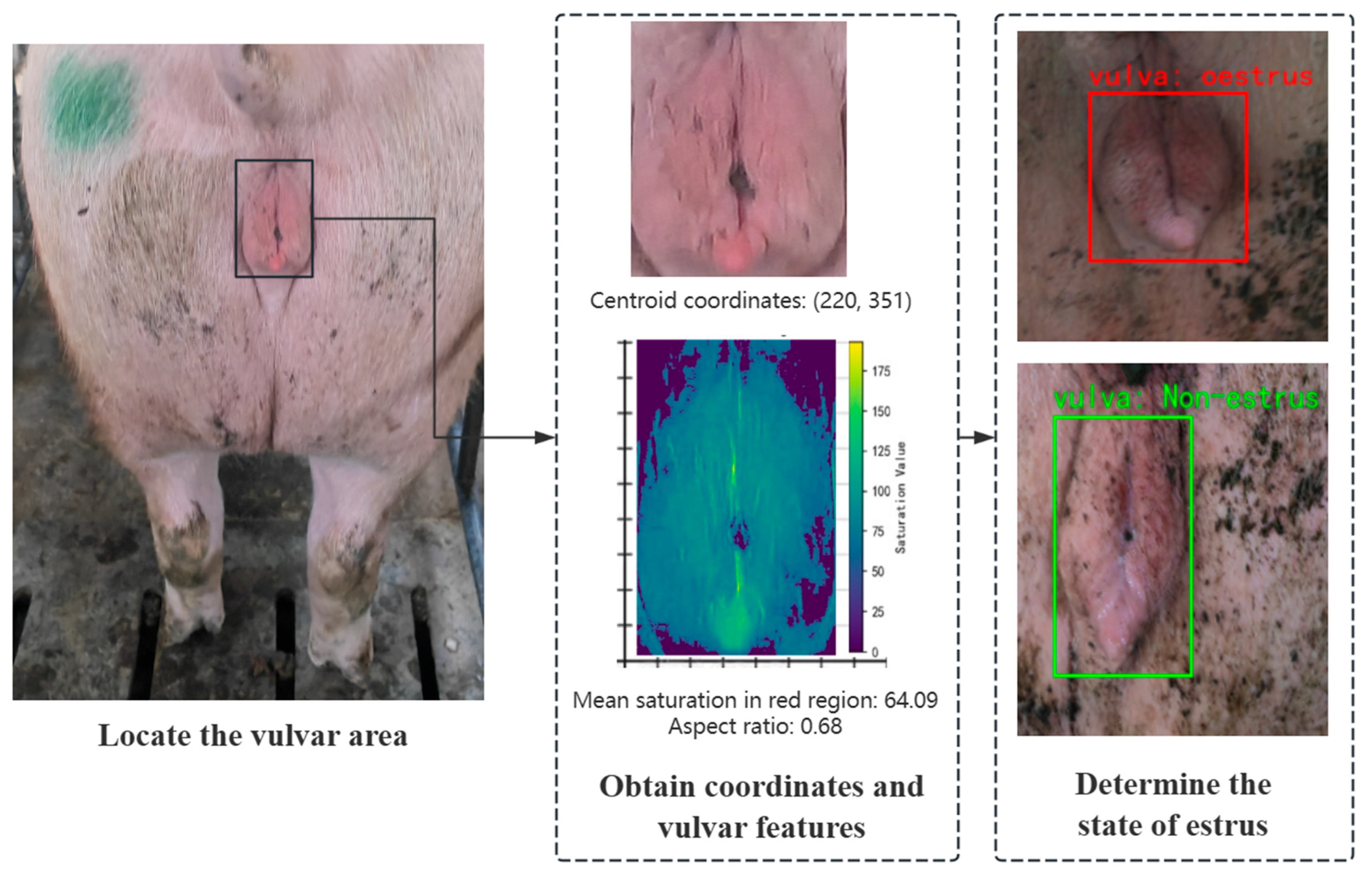 Animals 15 02709 g011