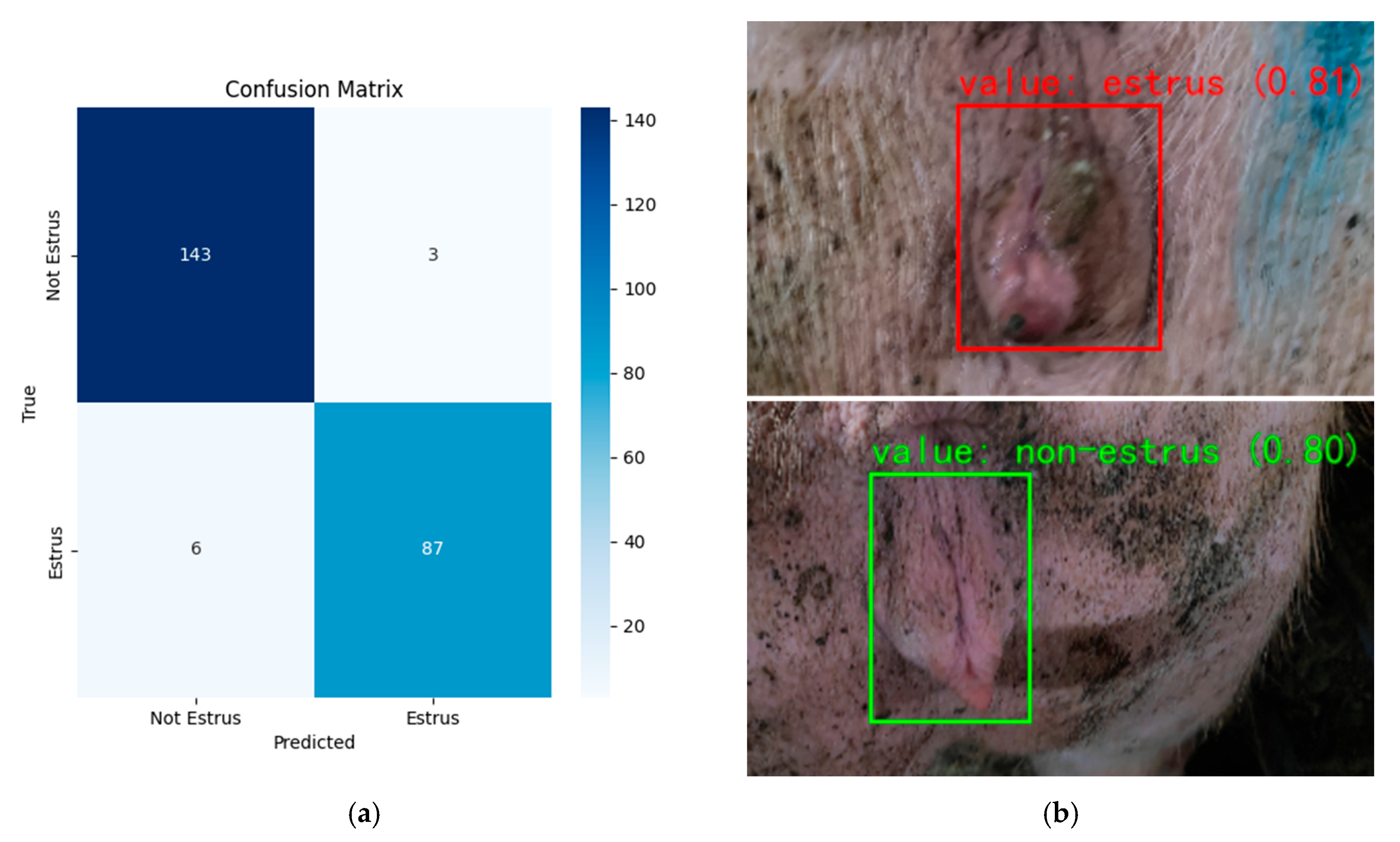 Animals 15 02709 g015