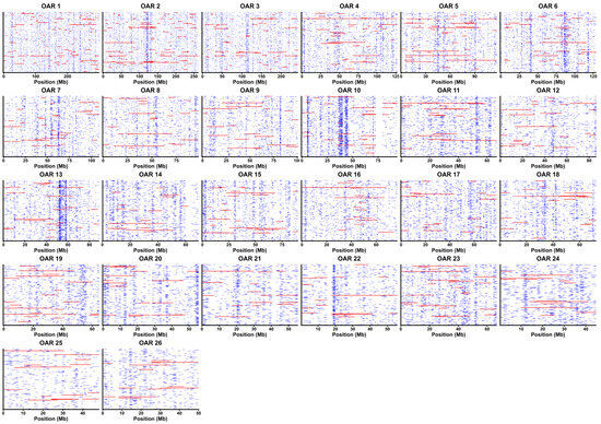 Genomic Characterization of the Kazakh Fat-Tailed Coarse-Wool