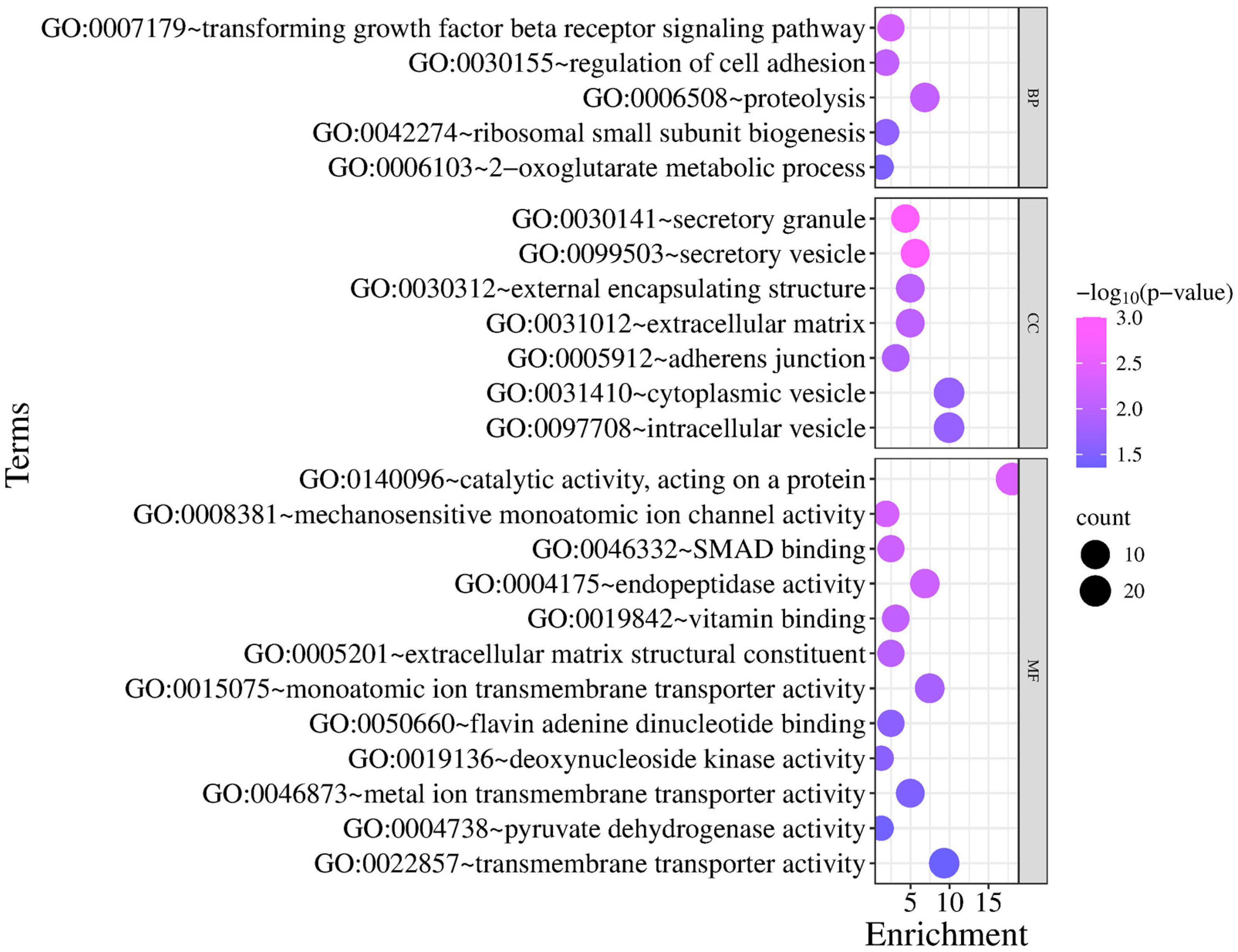 Animals 15 02714 g007 Animals 15 02714 g007