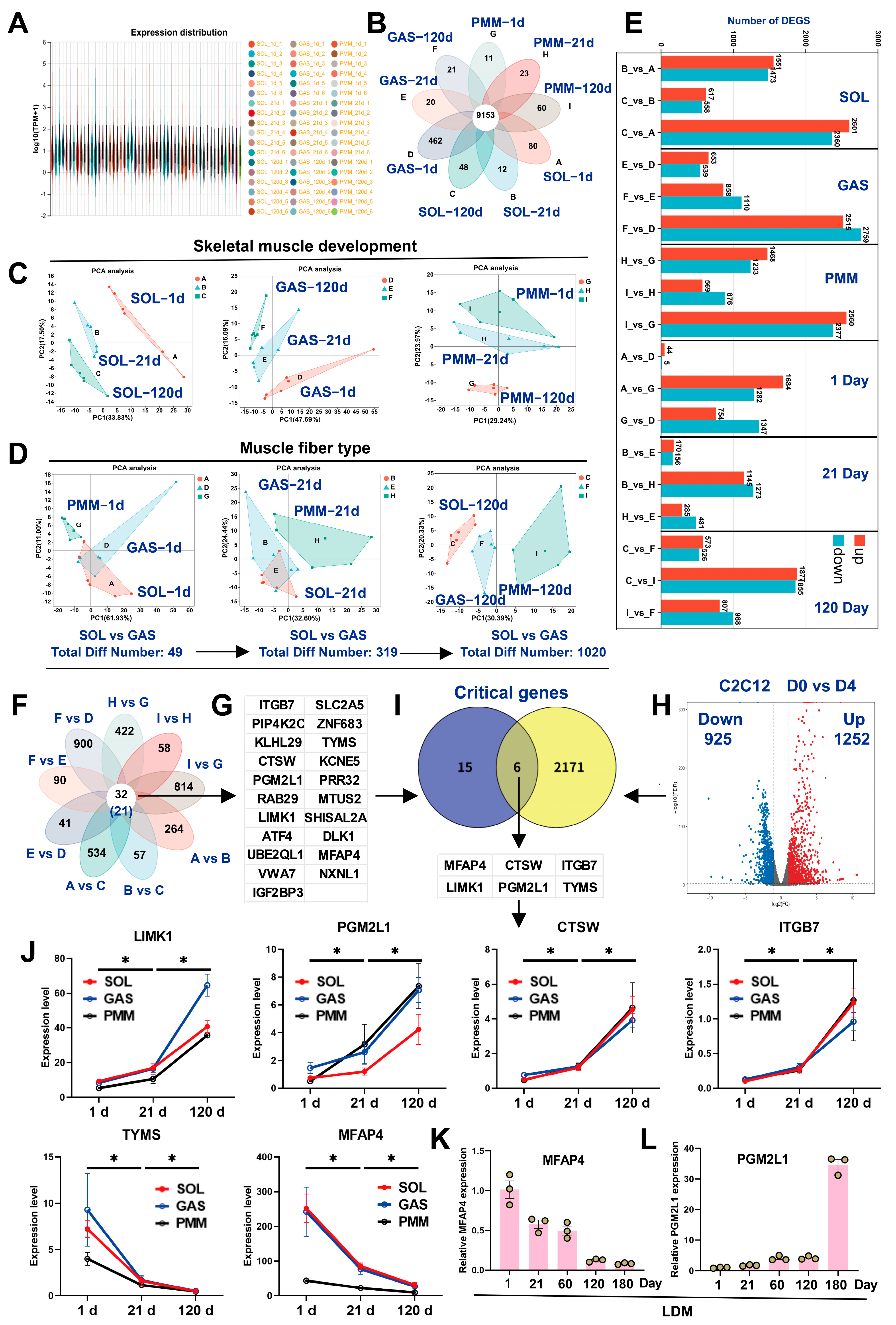 Animals 15 02715 g002