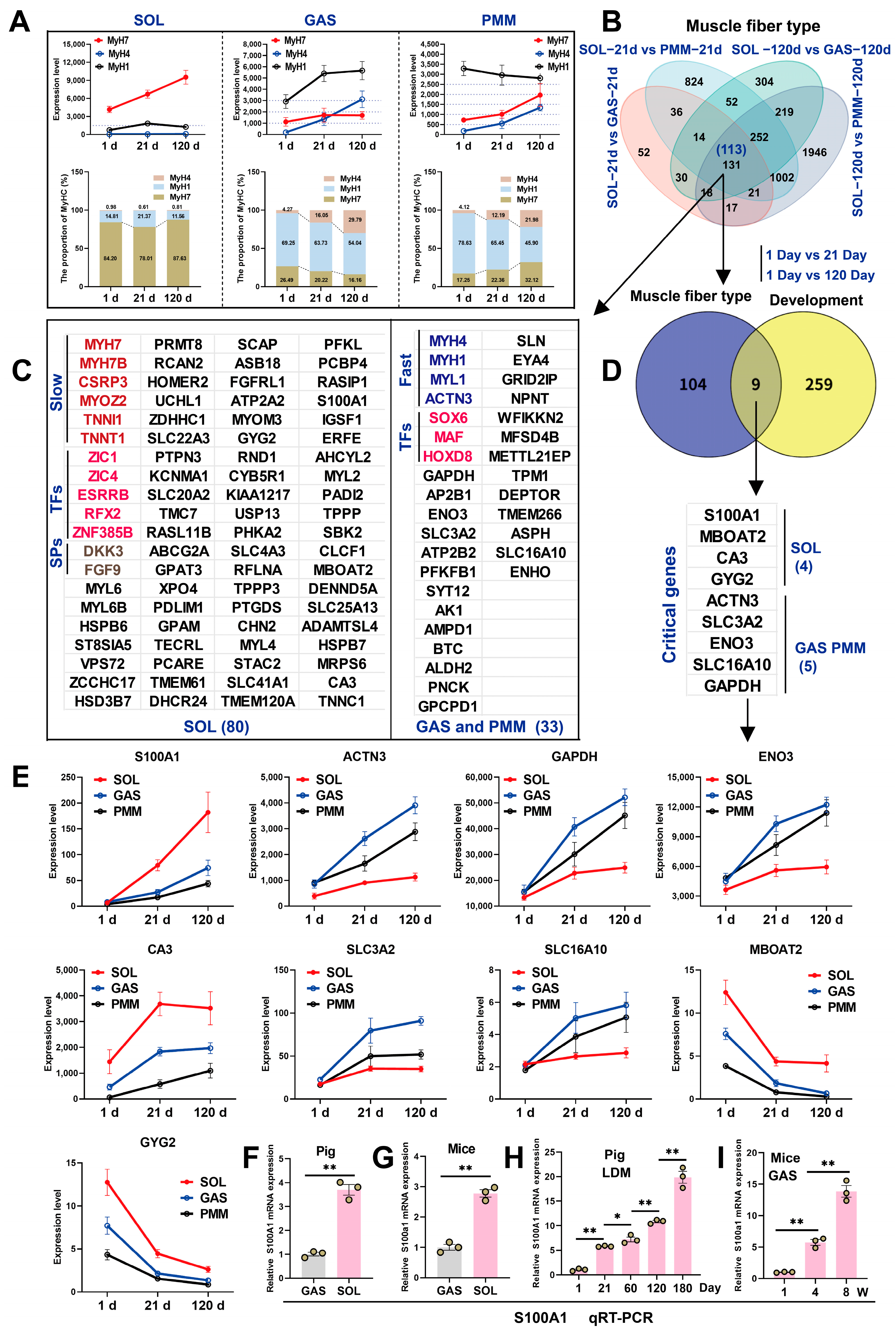Animals 15 02715 g003