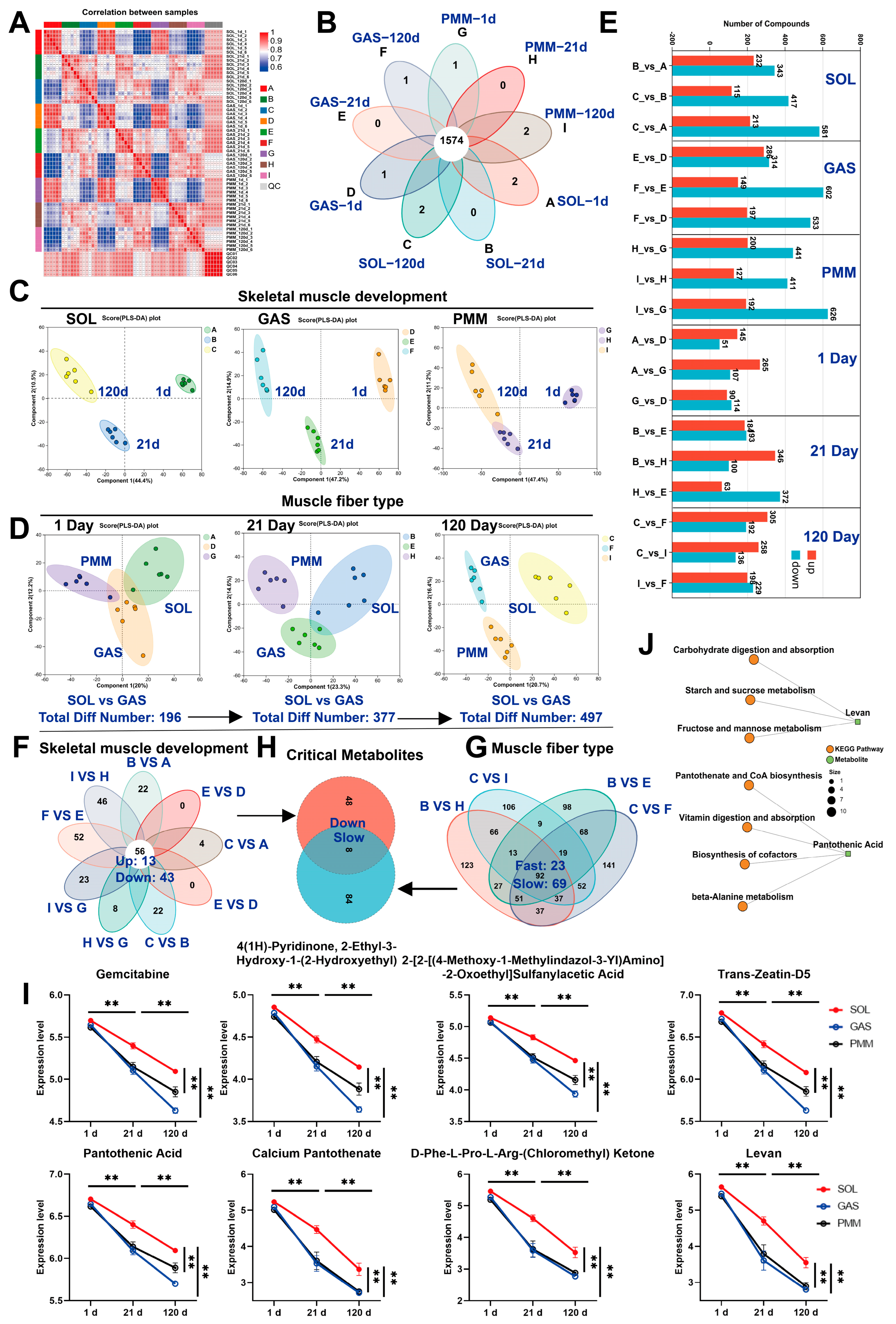 Animals 15 02715 g004