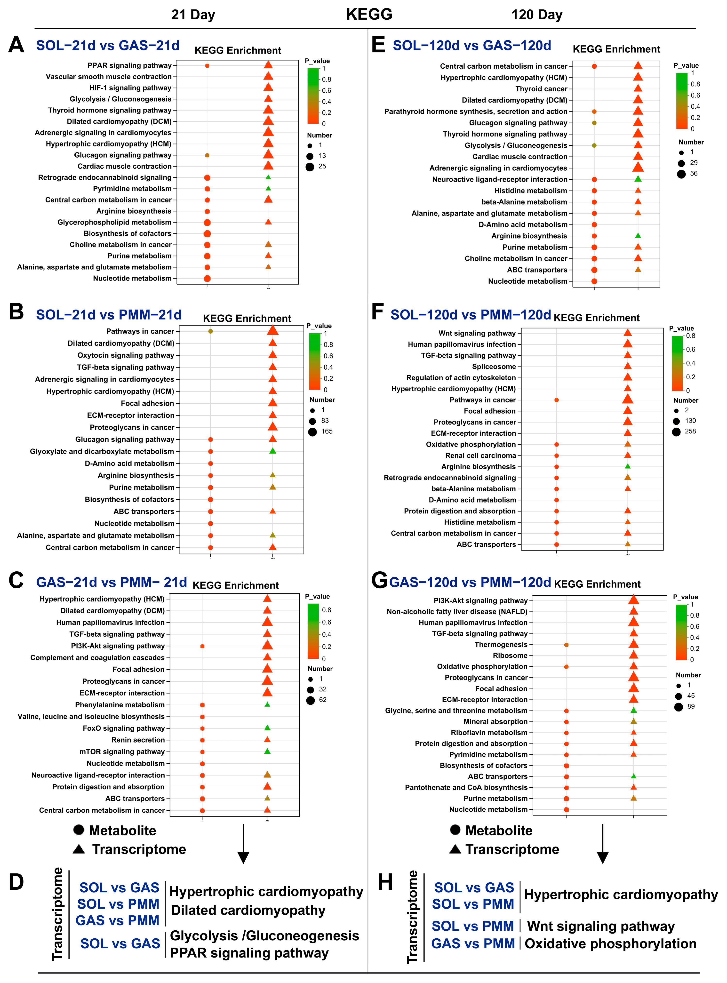 Animals 15 02715 g006