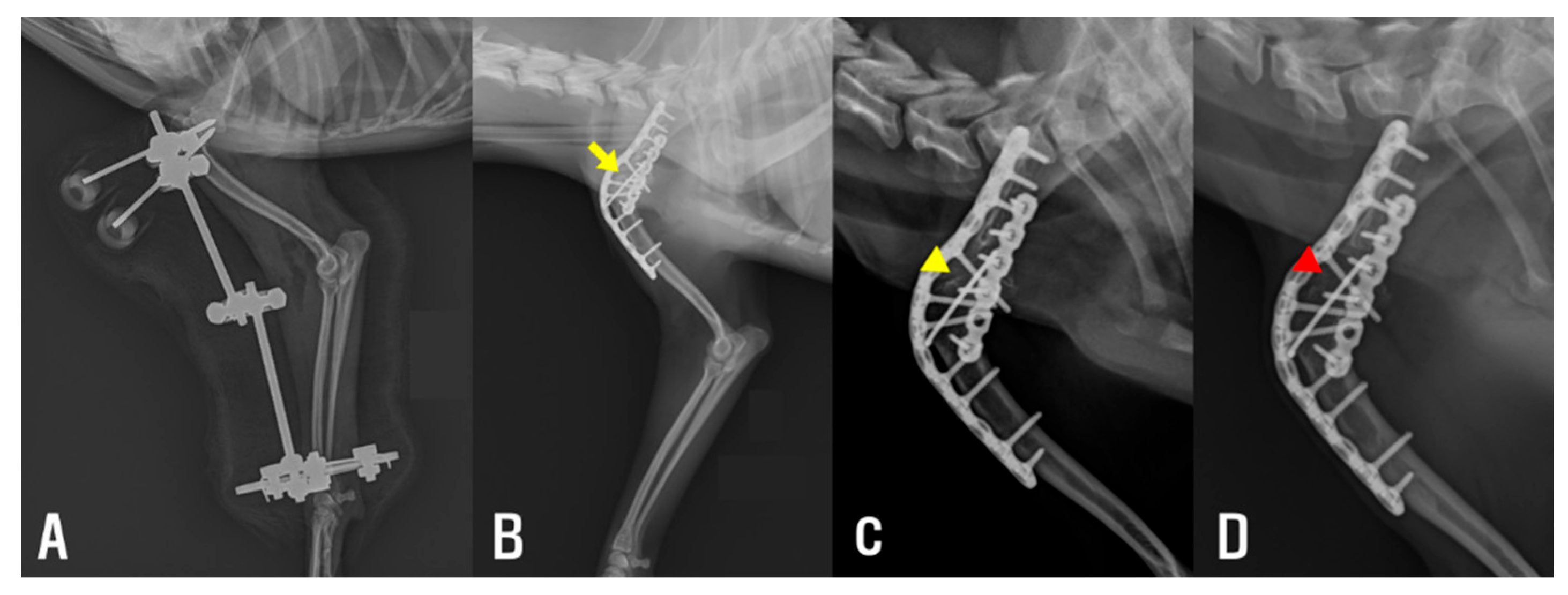 Animals 15 02717 g003