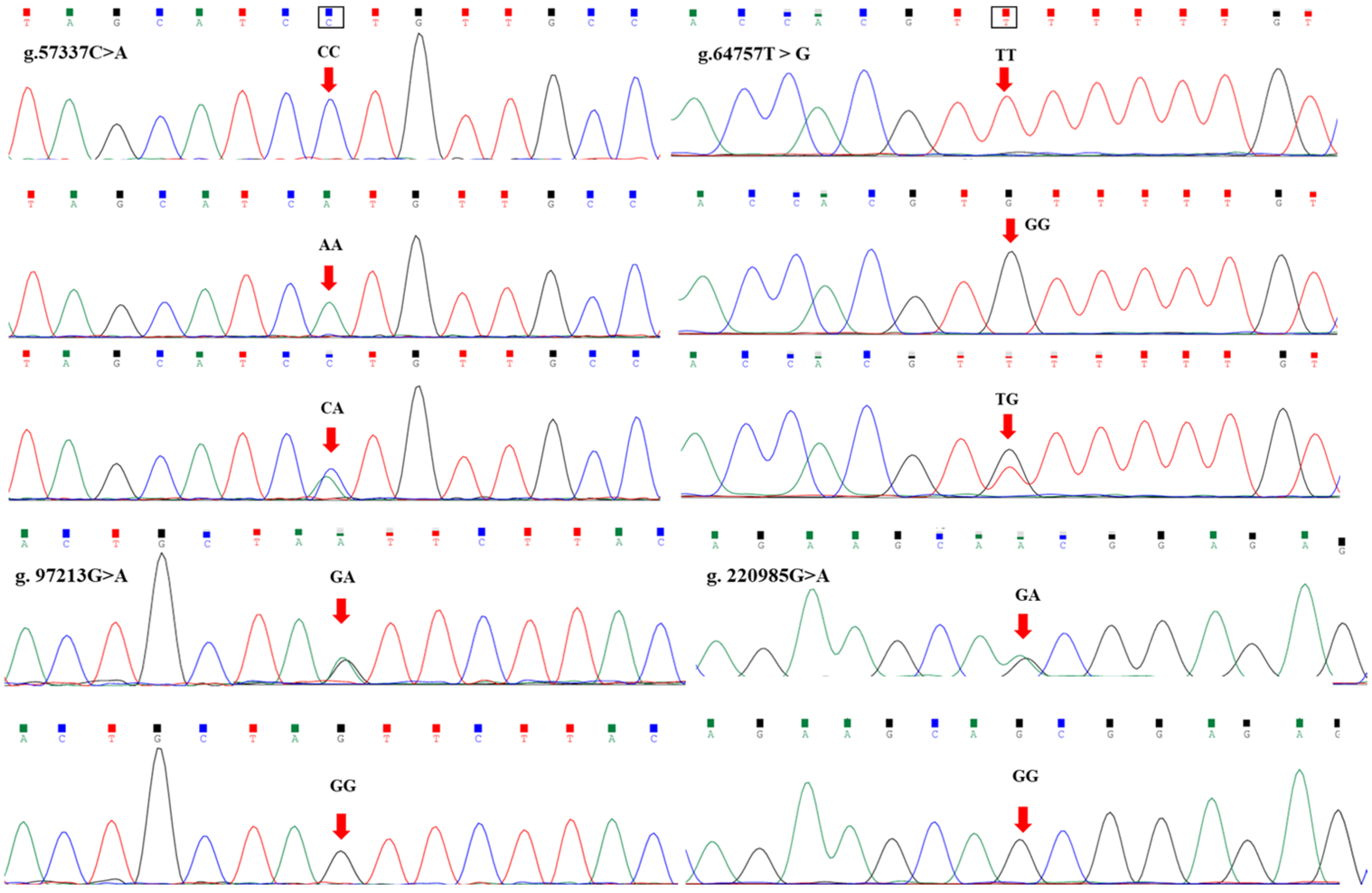 Animals 15 02718 g001 Animals 15 02718 g001