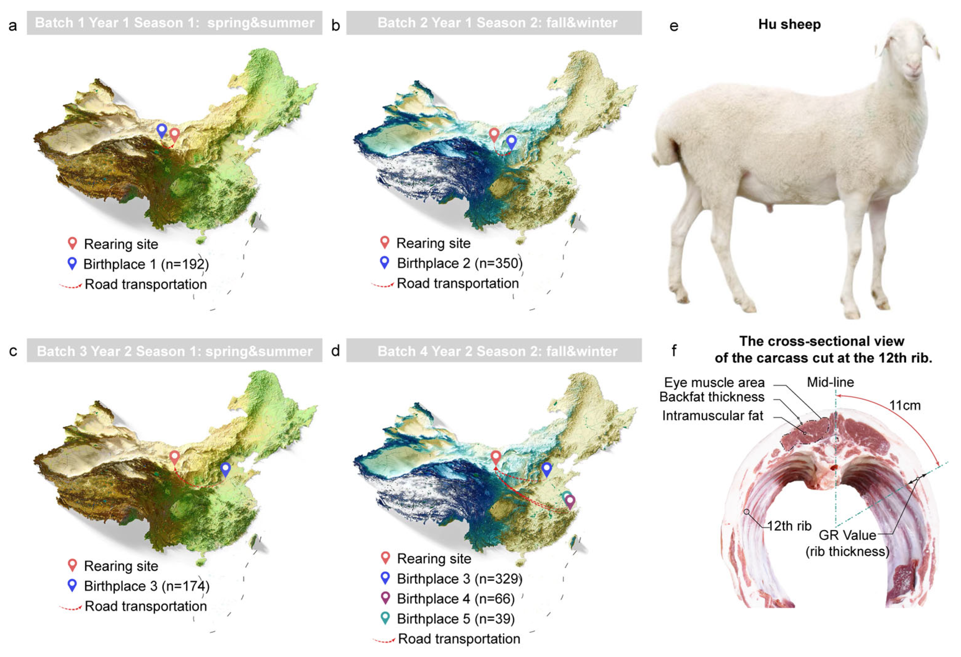 Animals 15 02724 g001 Animals 15 02724 g001