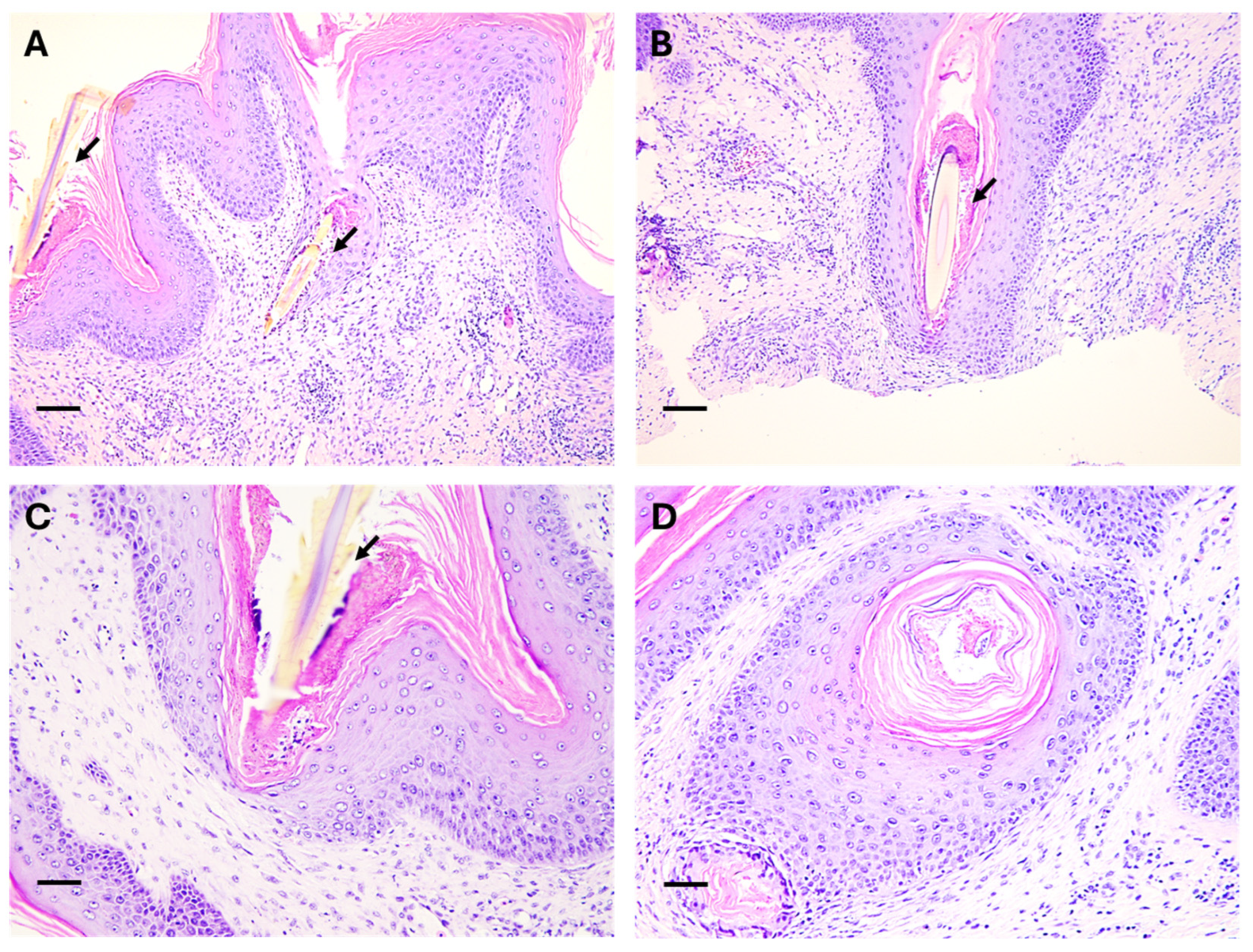 Animals 15 02727 g004 Animals 15 02727 g004