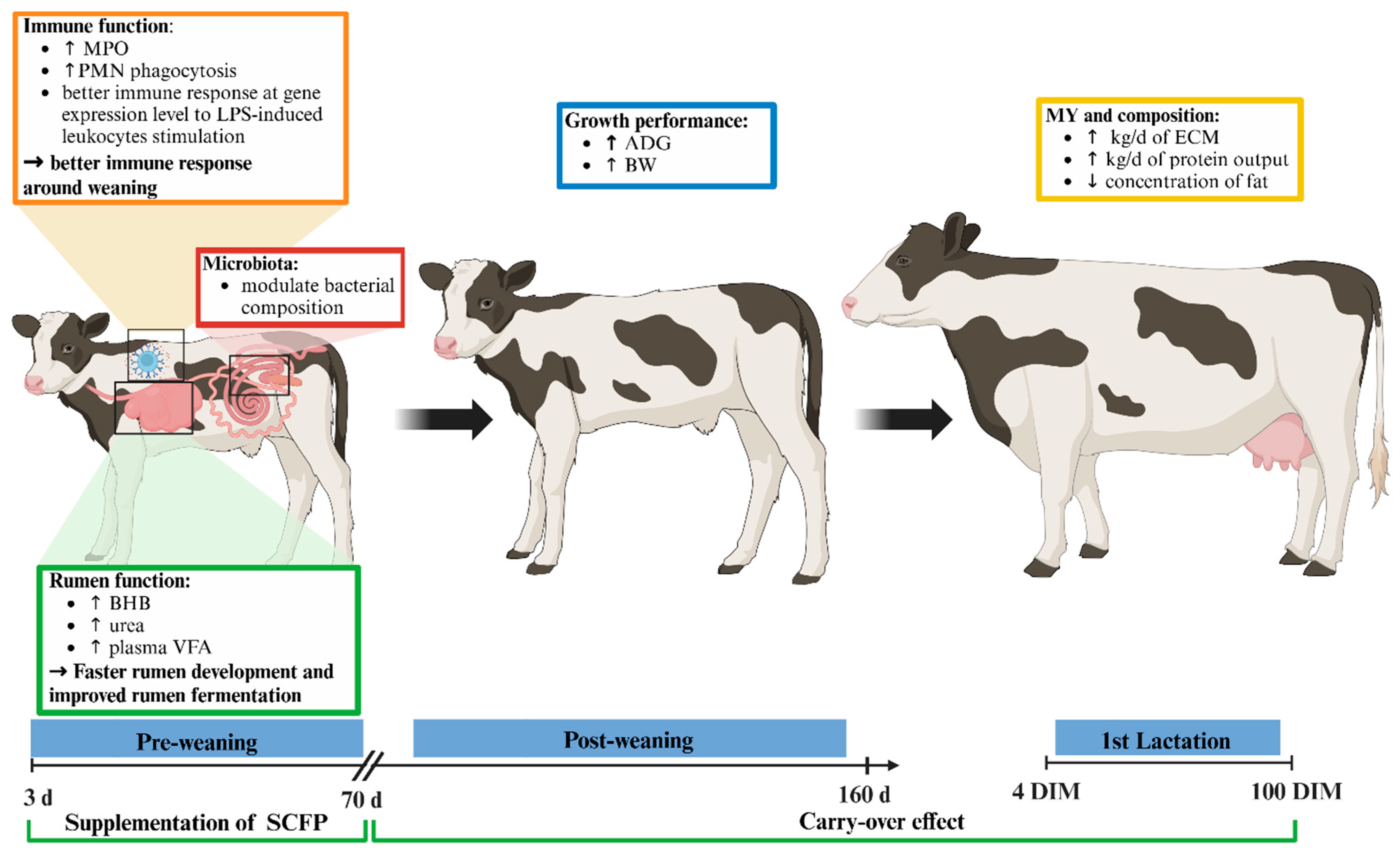 Animals 15 02728 g011 Animals 15 02728 g011