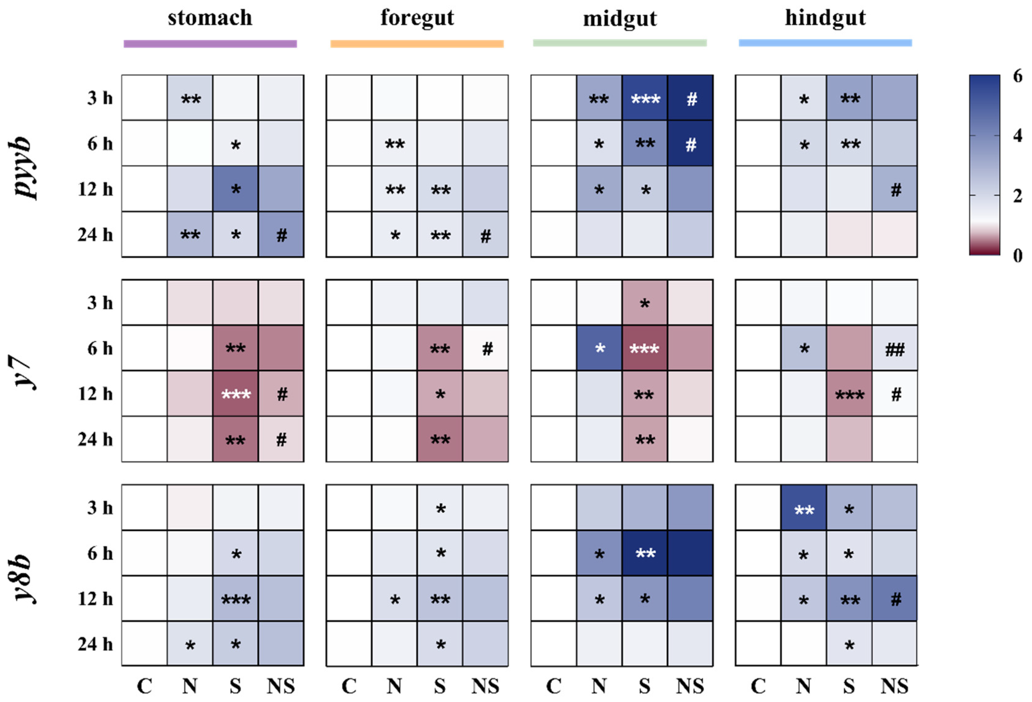 Animals 15 02730 g001 Animals 15 02730 g001