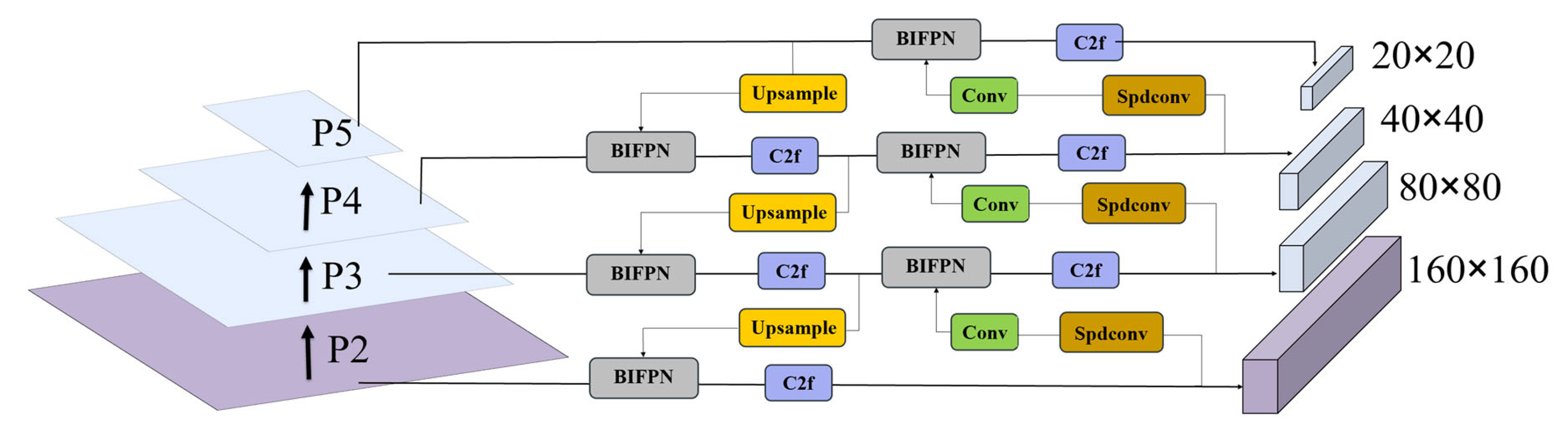 Animals 15 02732 g003