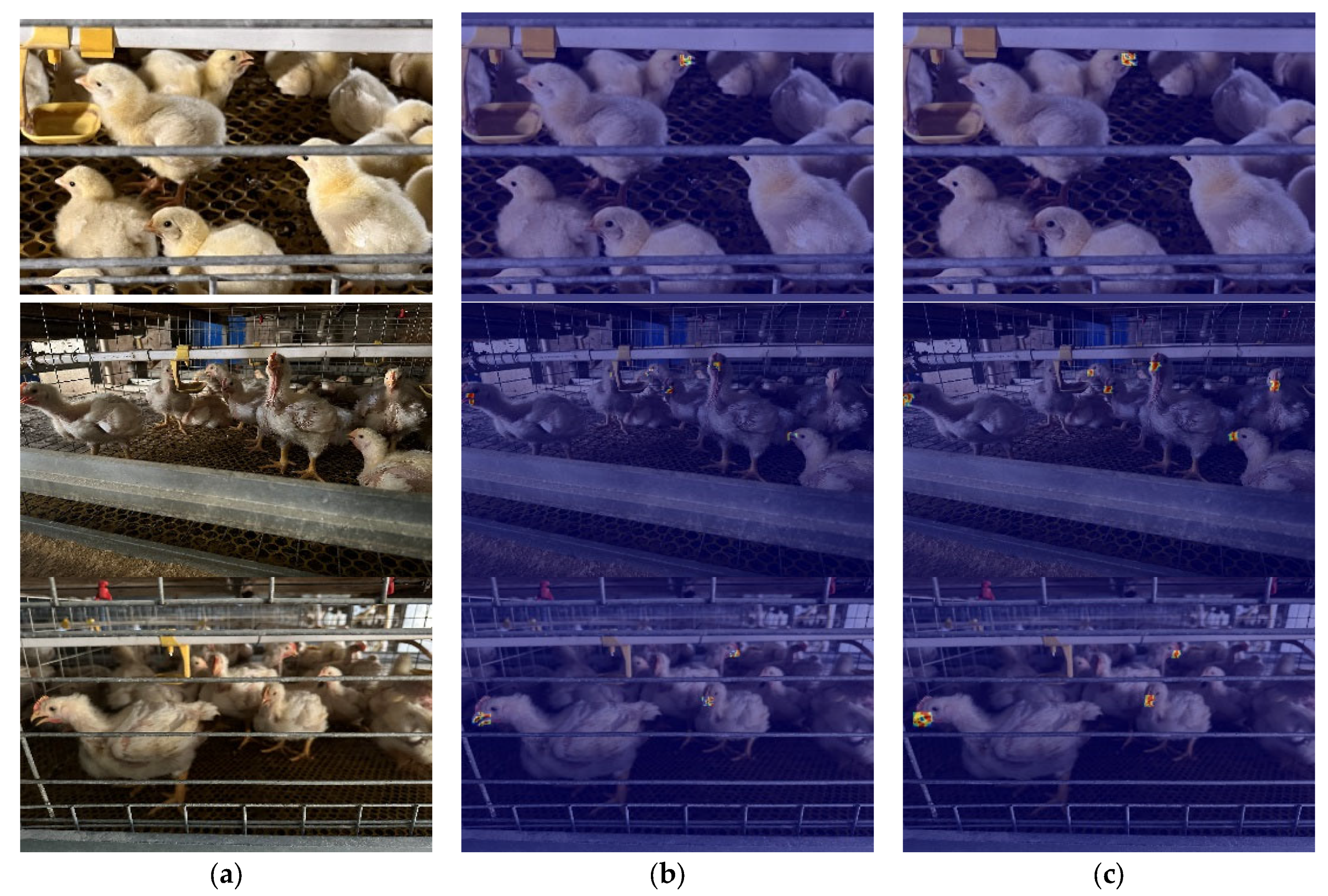 Animals 15 02732 g013