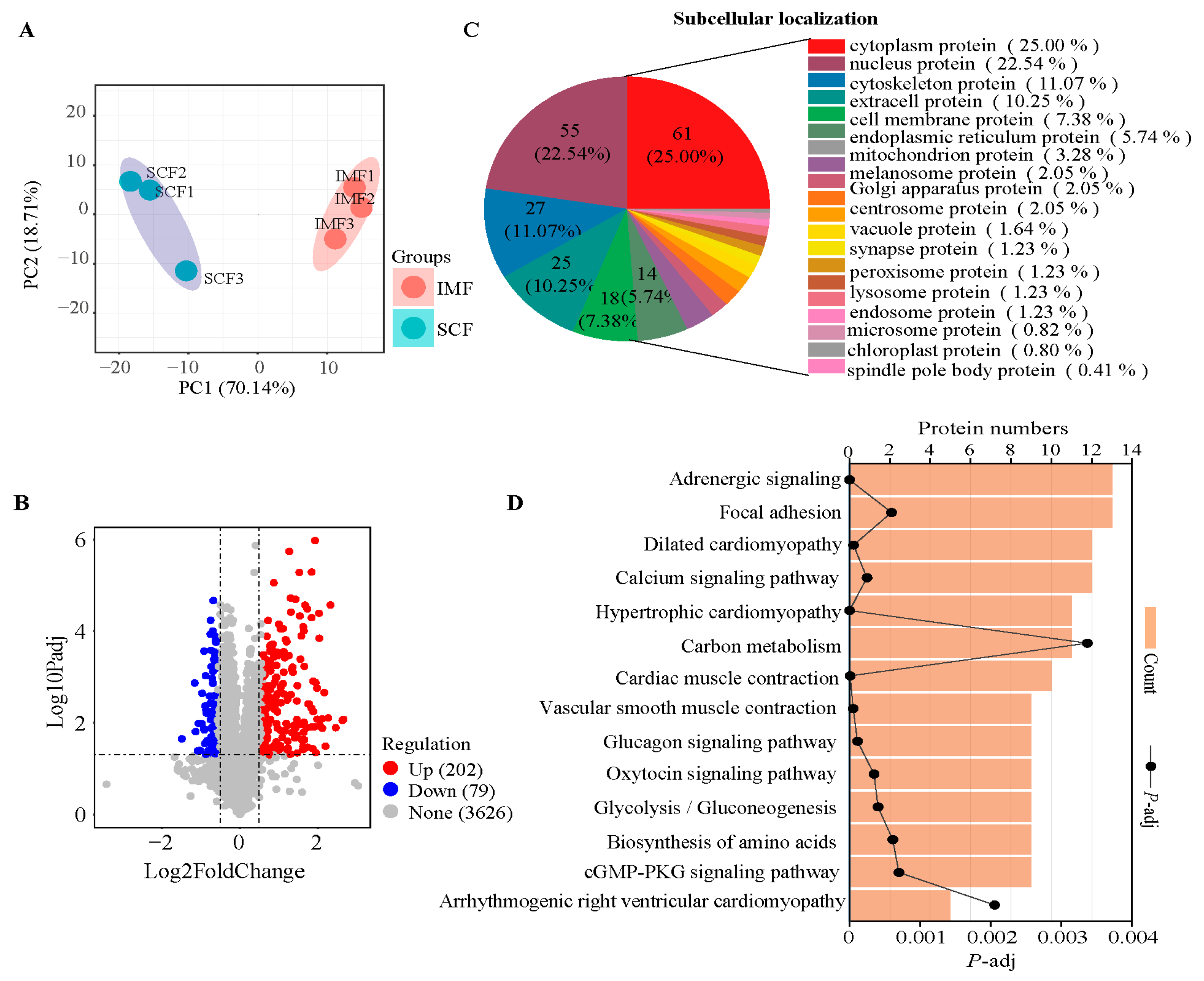 Animals 15 02733 g002