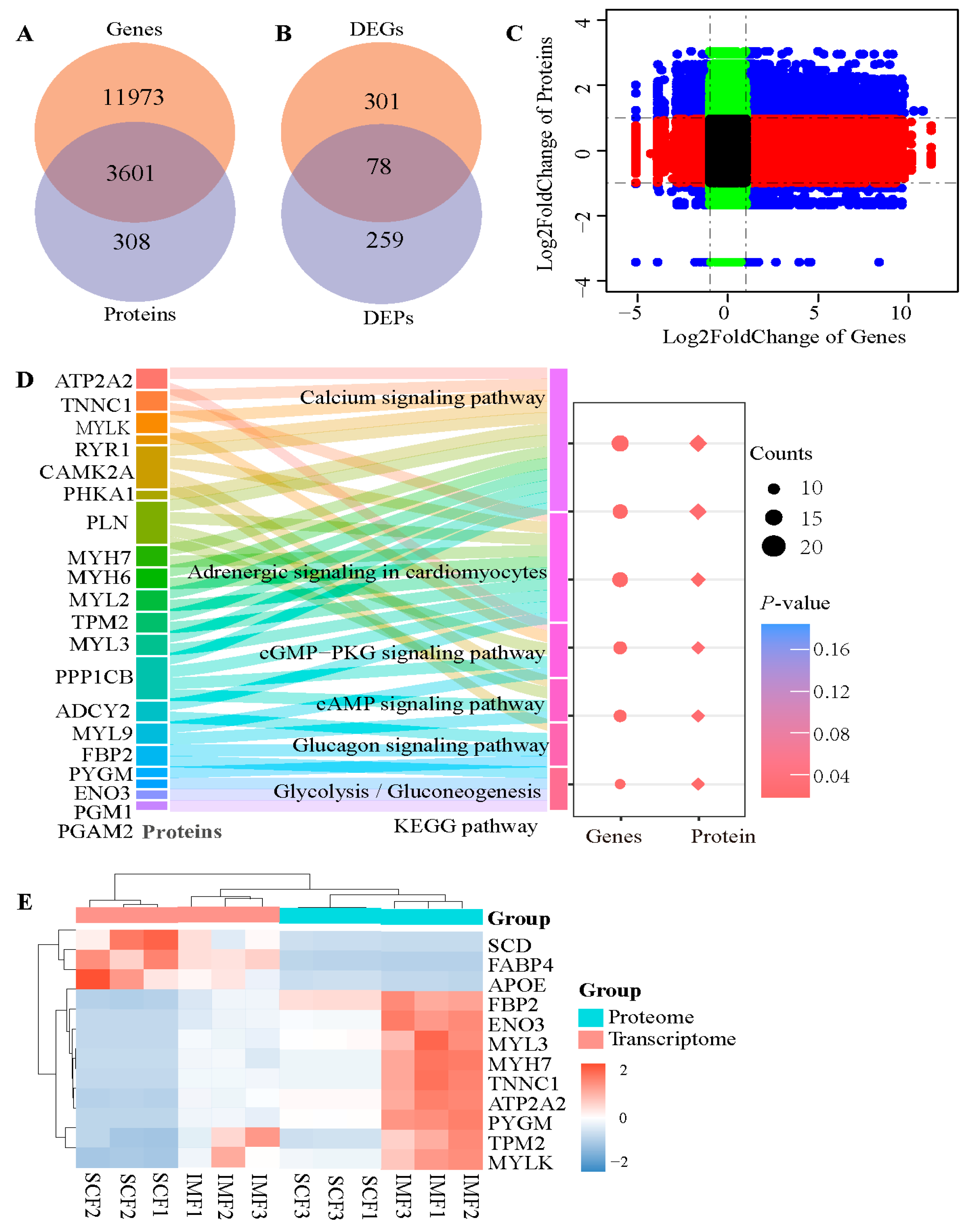 Animals 15 02733 g003