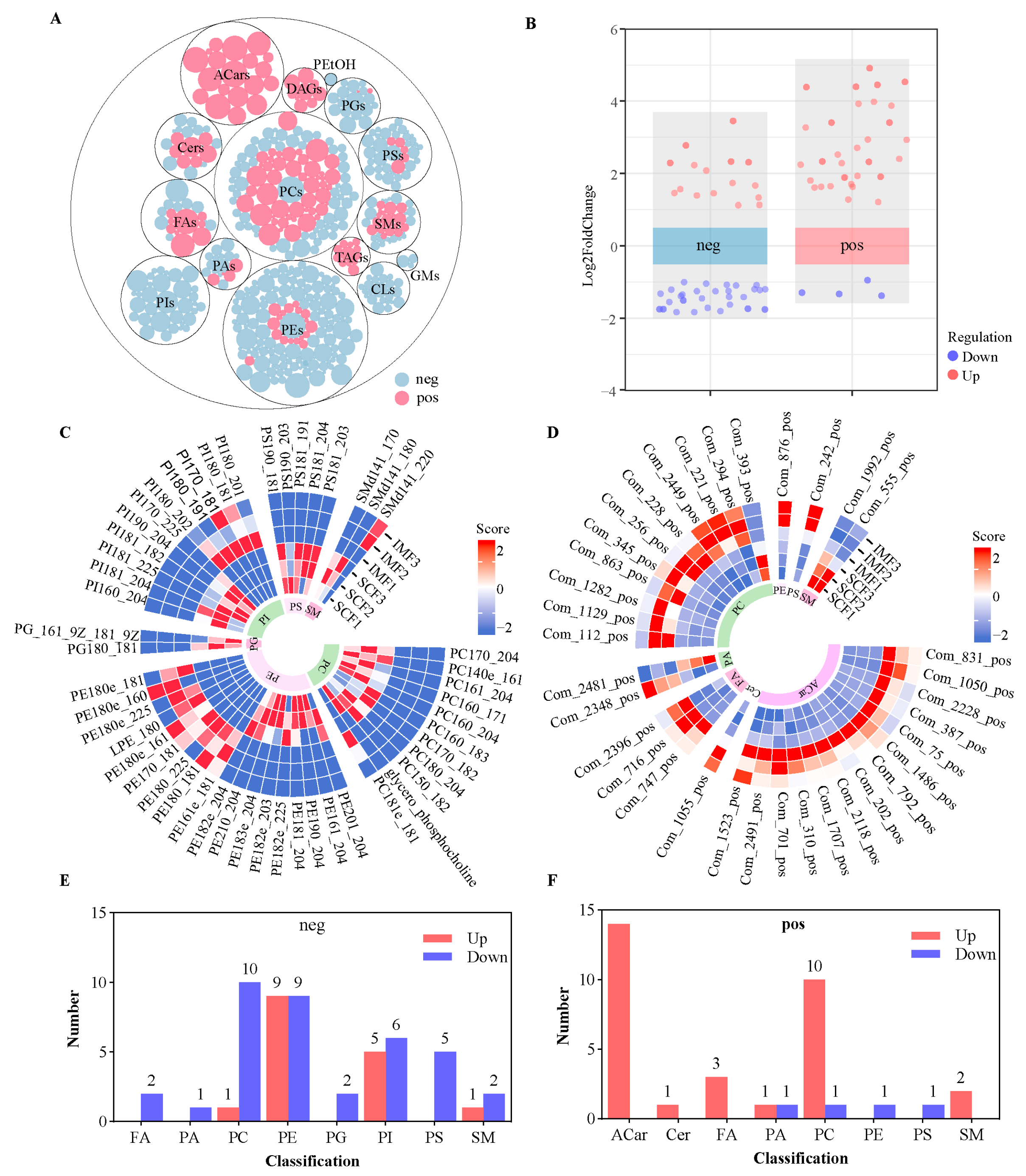 Animals 15 02733 g004