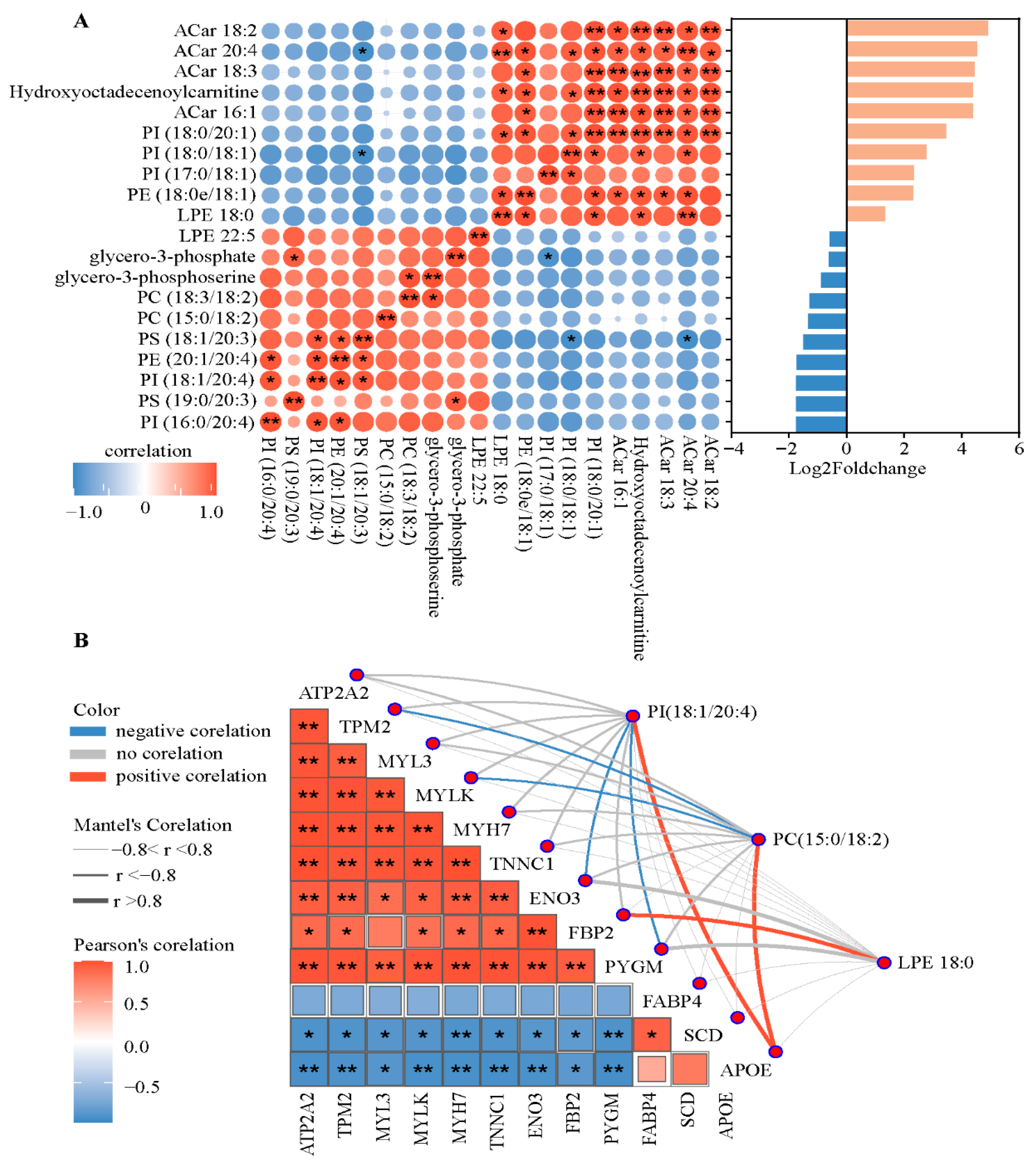 Animals 15 02733 g005