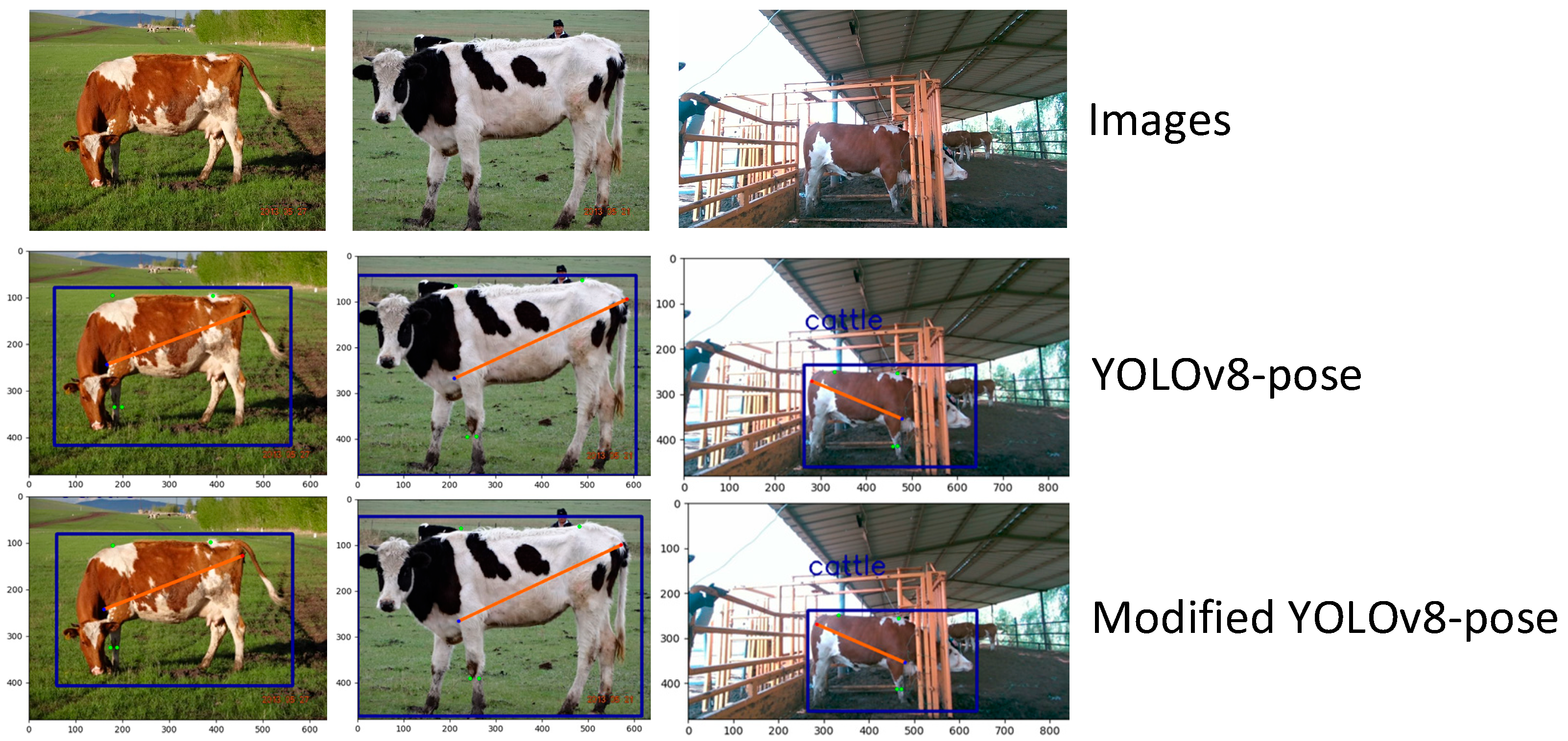 Animals 15 02738 g008