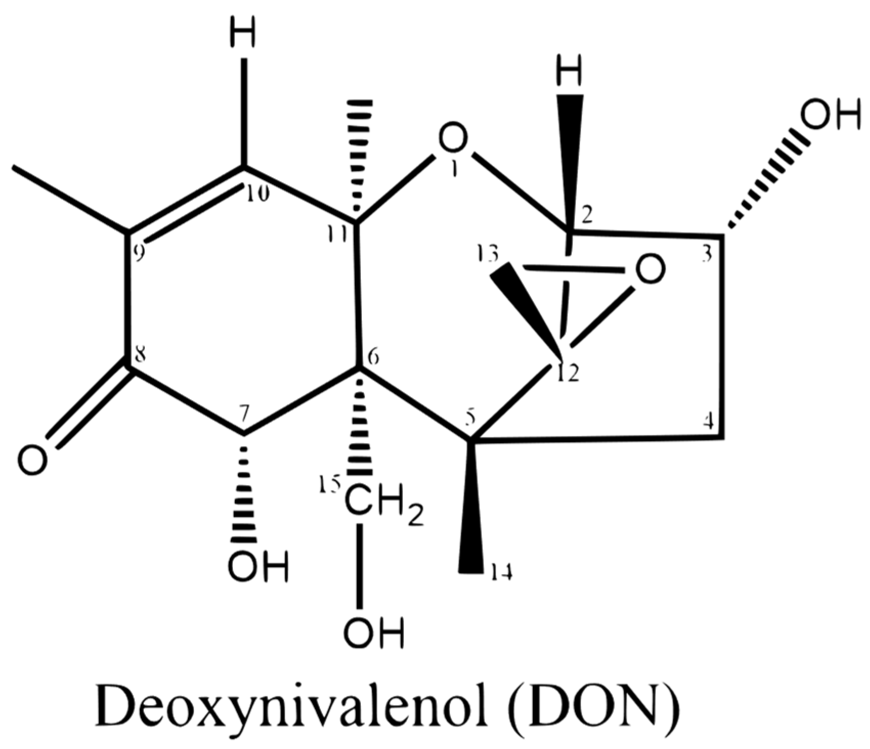 Animals 15 02739 g001