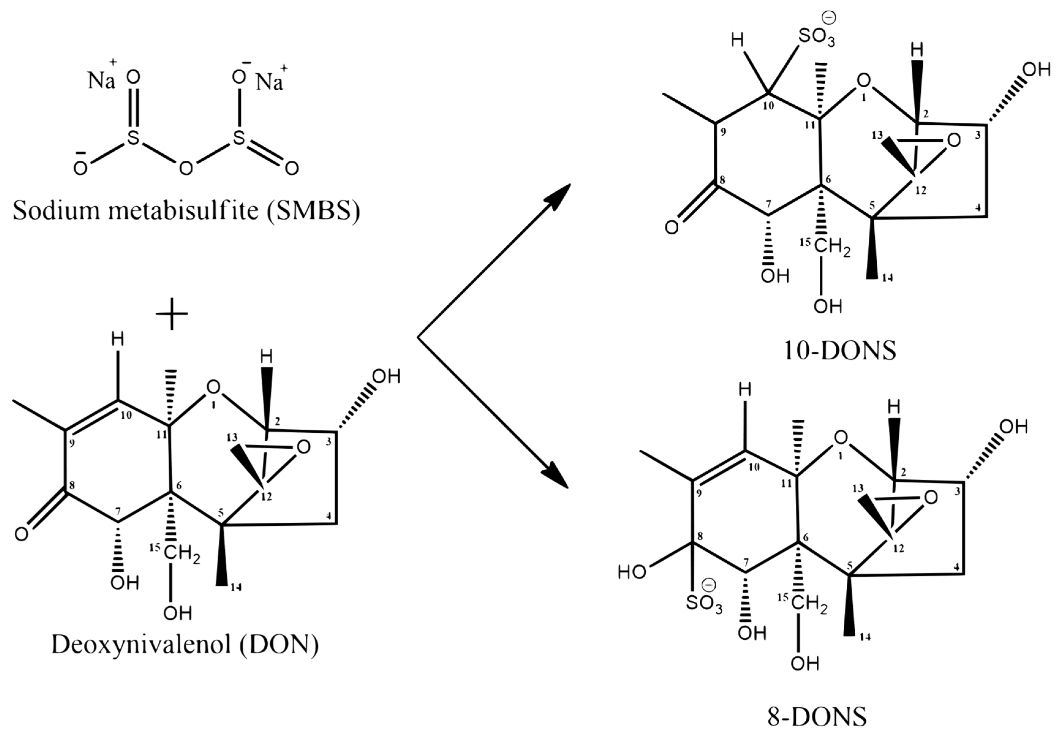Animals 15 02739 g004