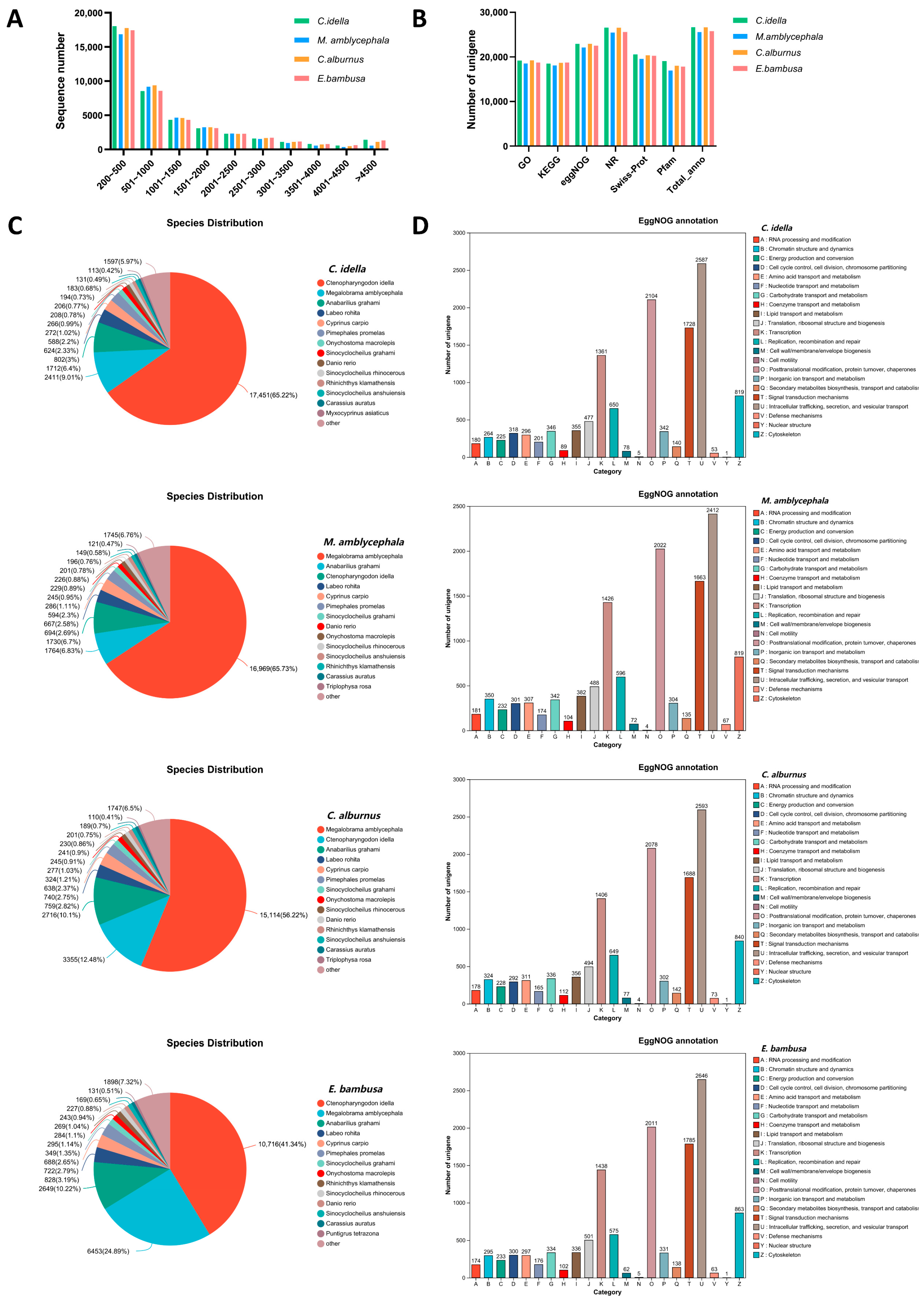 Animals 15 02741 g001