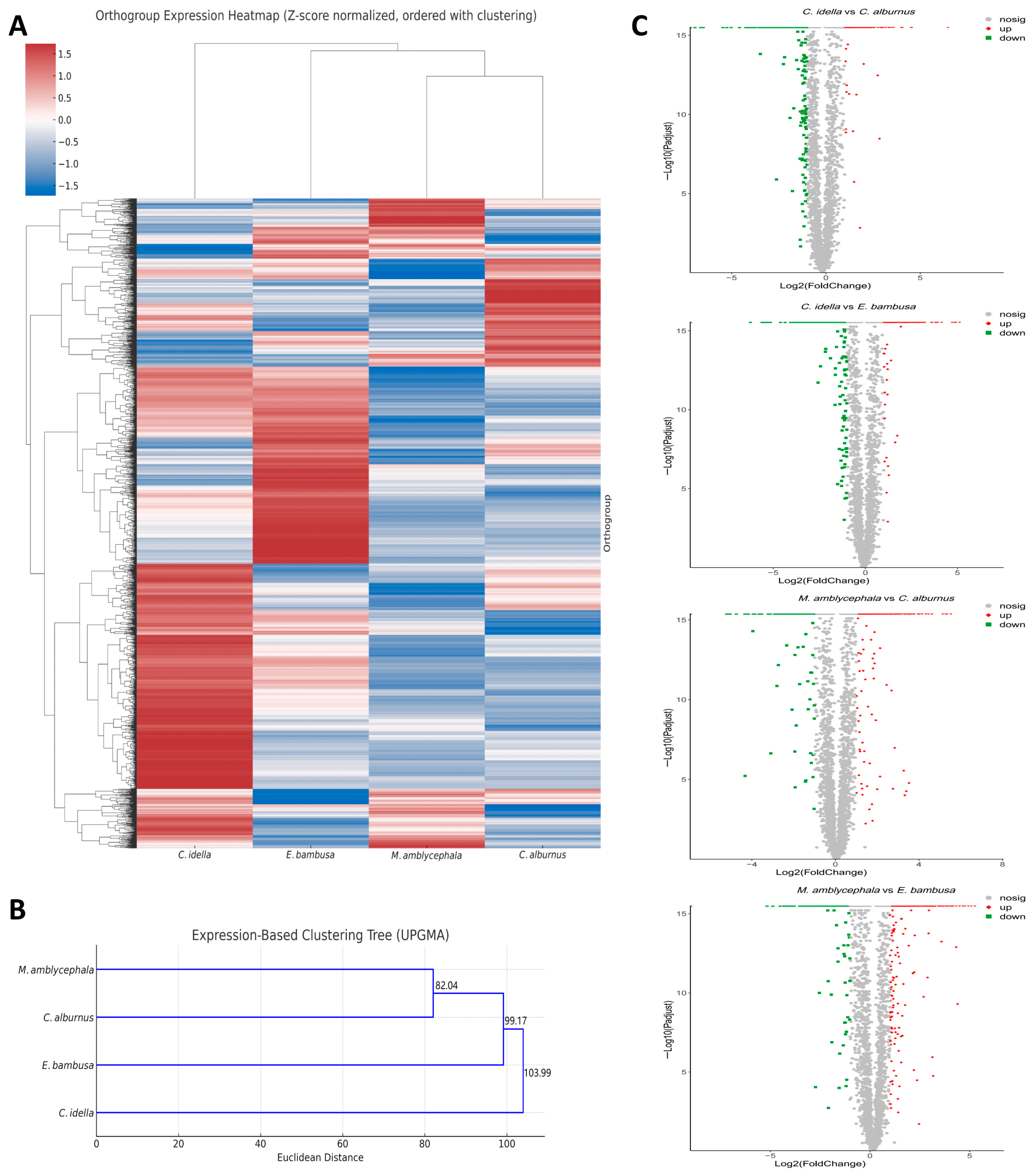 Animals 15 02741 g002