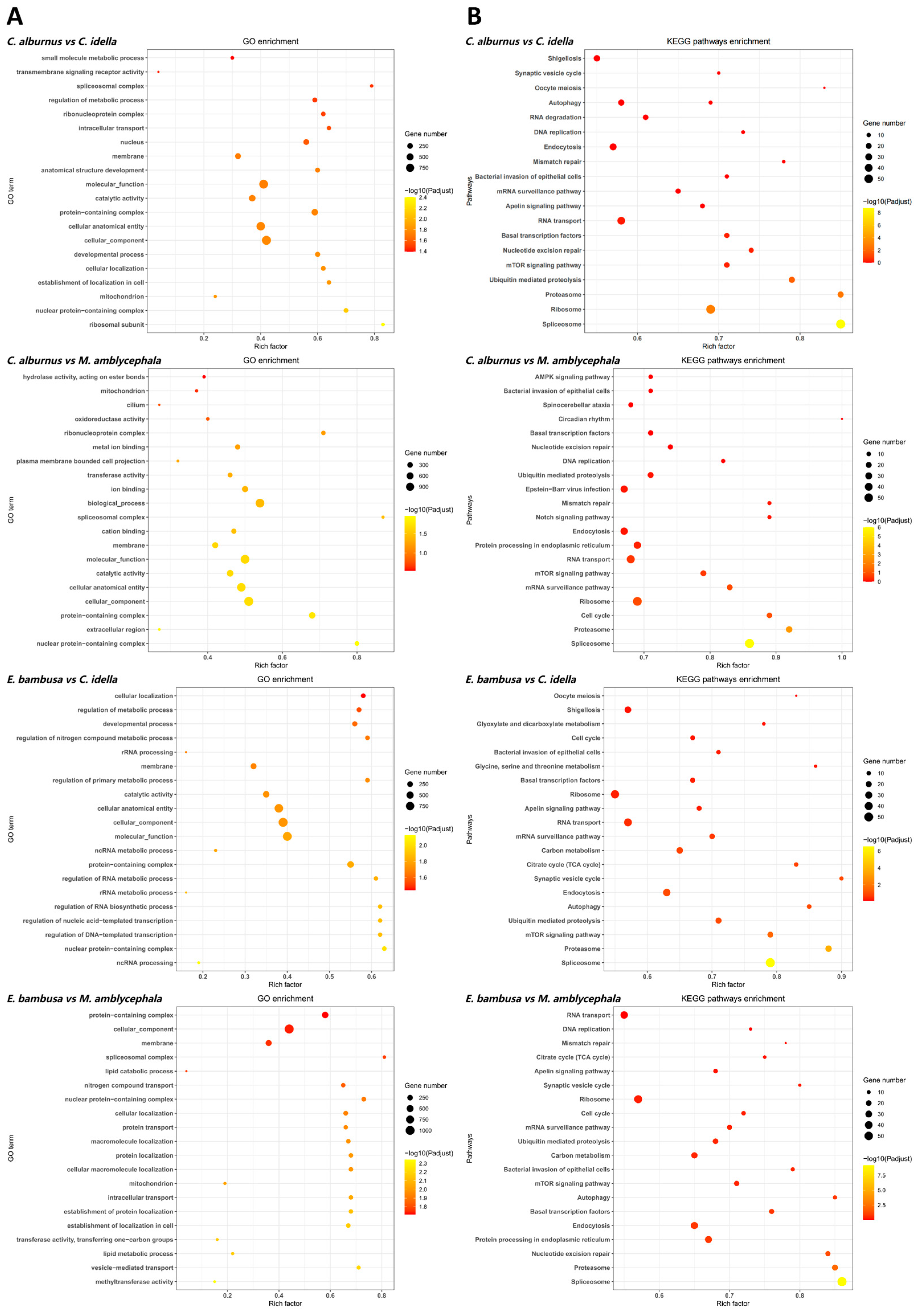 Animals 15 02741 g003