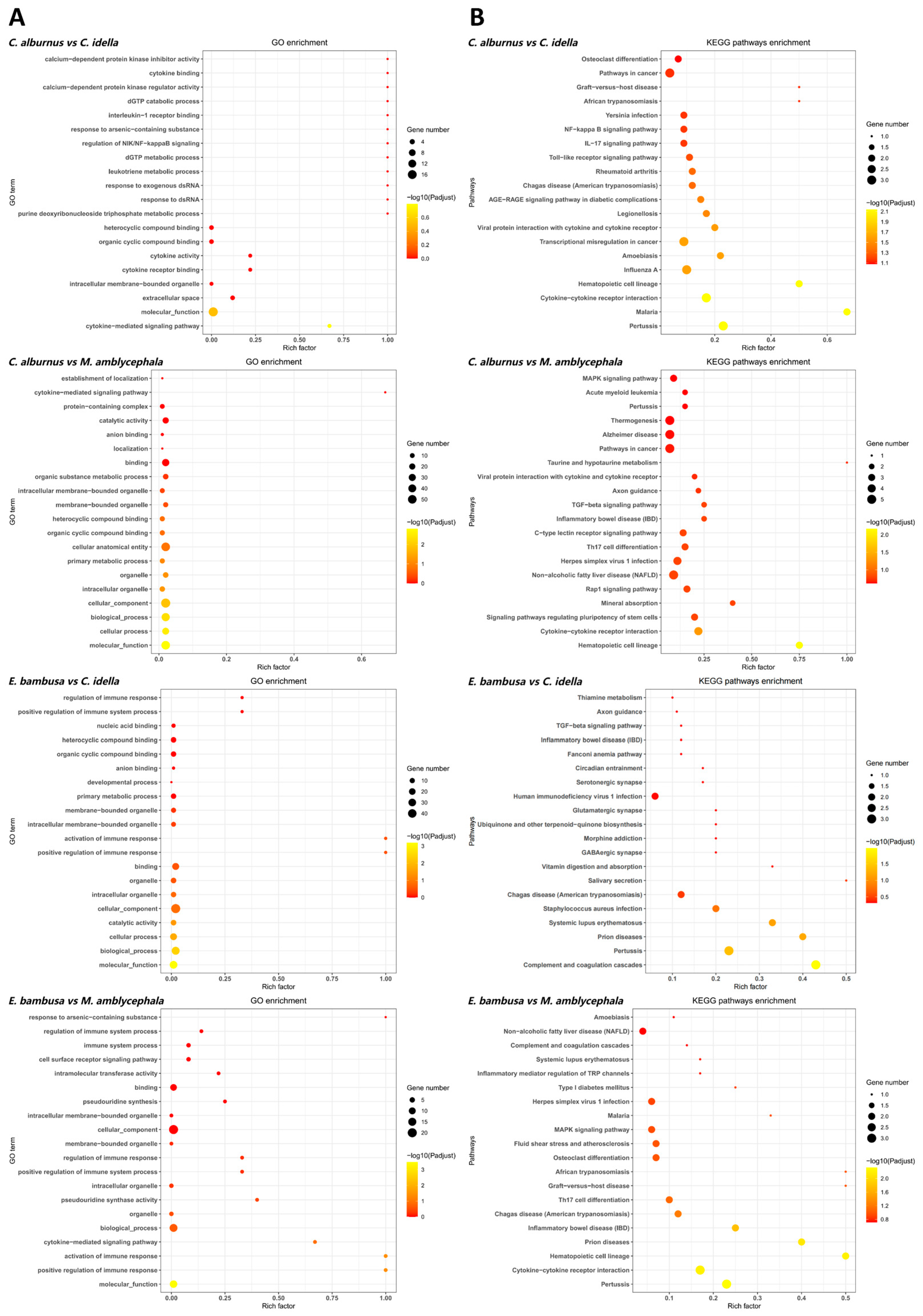 Animals 15 02741 g004