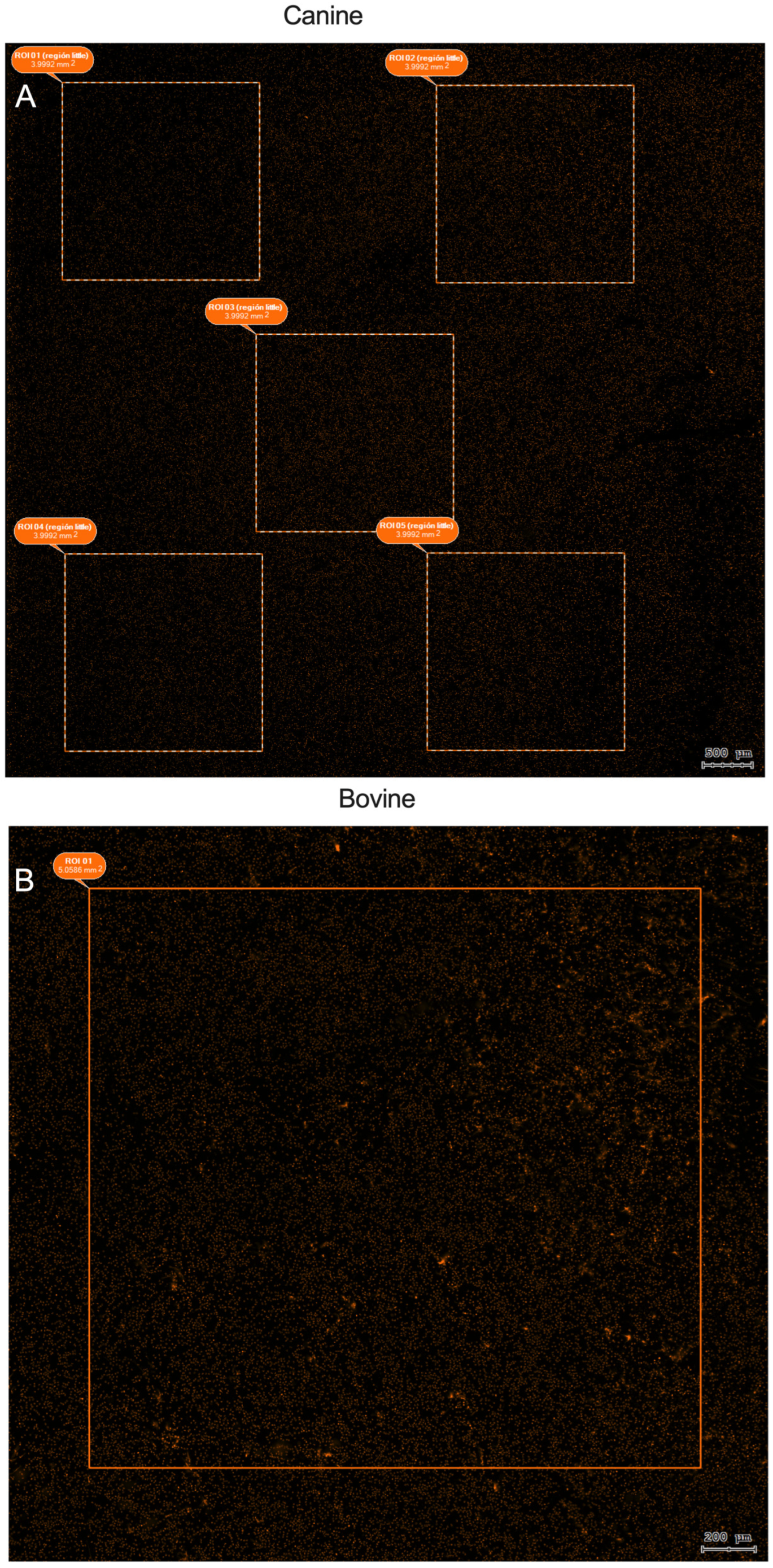 Animals 15 02742 g003 Animals 15 02742 g003