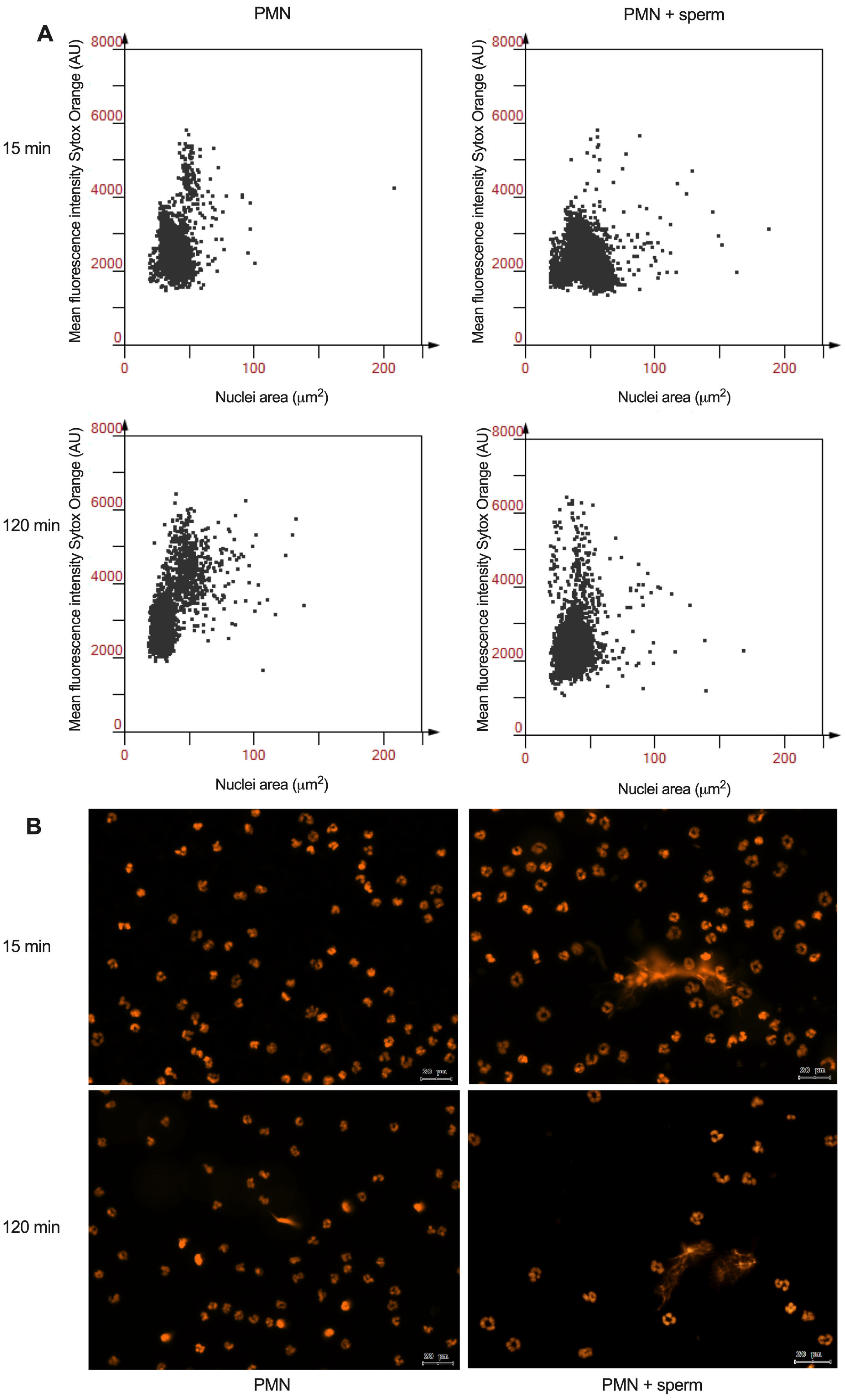Animals 15 02742 g005 Animals 15 02742 g005