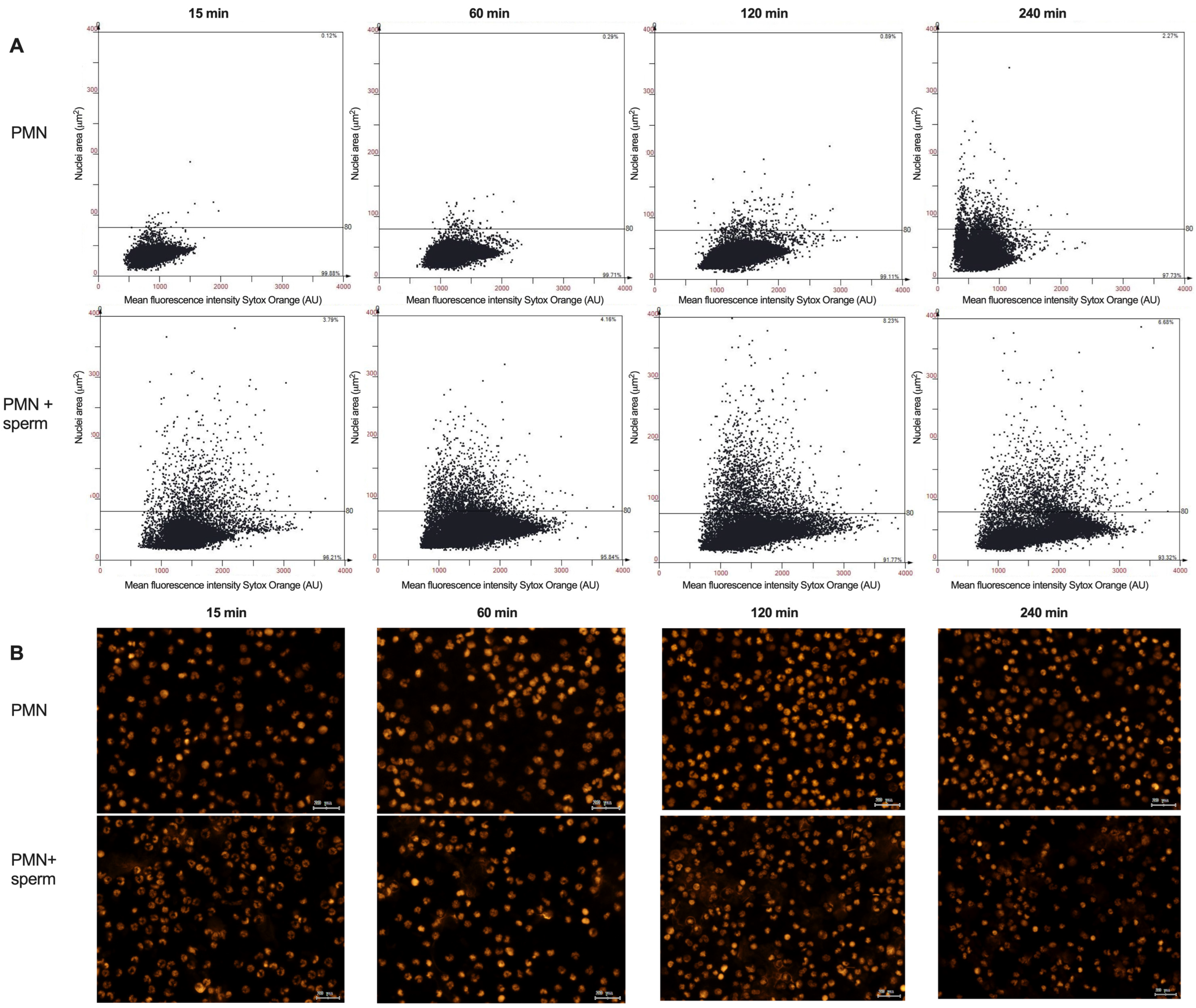 Animals 15 02742 g006 Animals 15 02742 g006