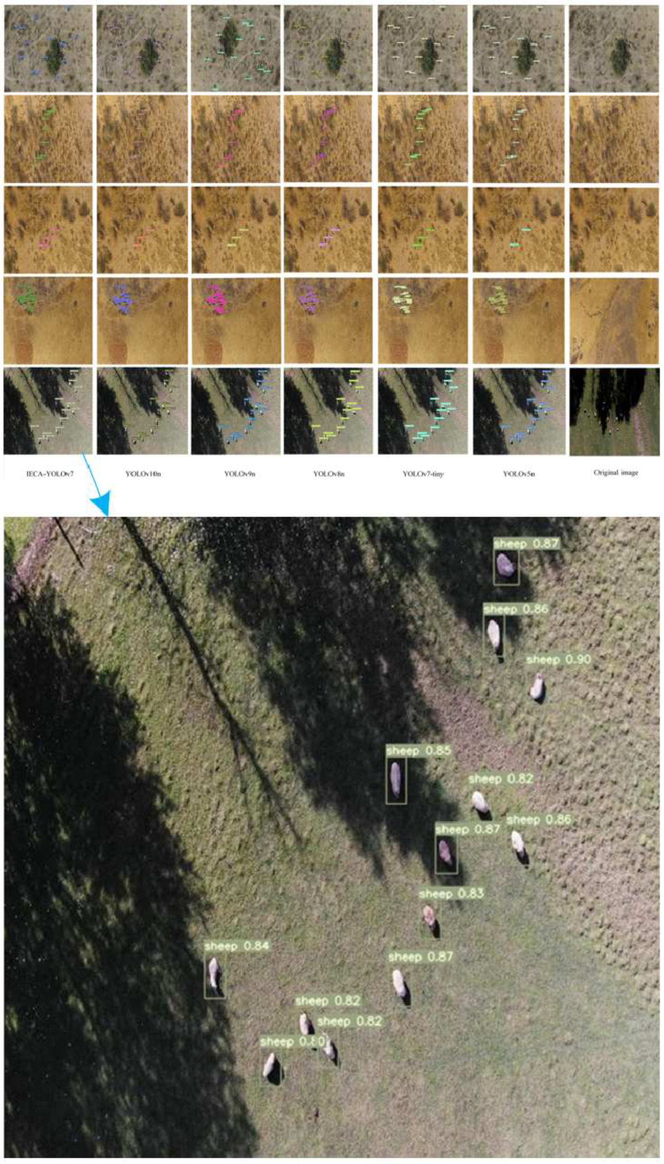 Animals 15 02743 g008