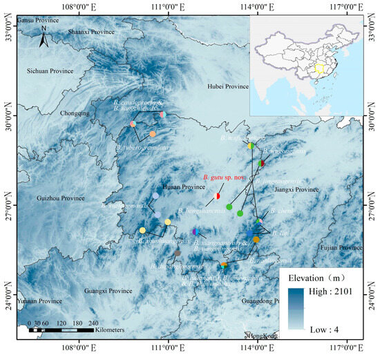 A New Species of Boulenophrys (Megophridae) from Mt. Hengshan