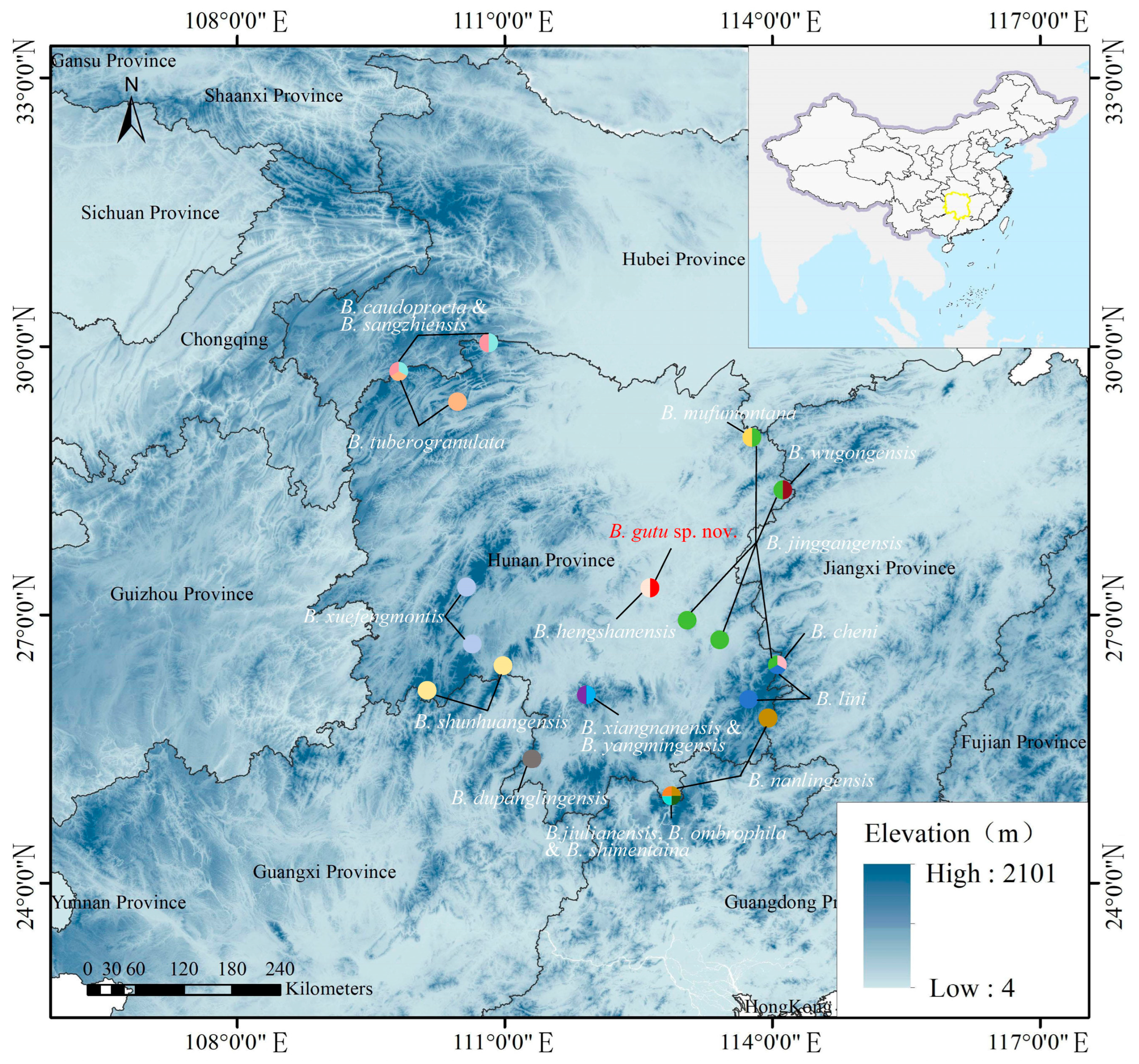 Animals 15 02745 g001