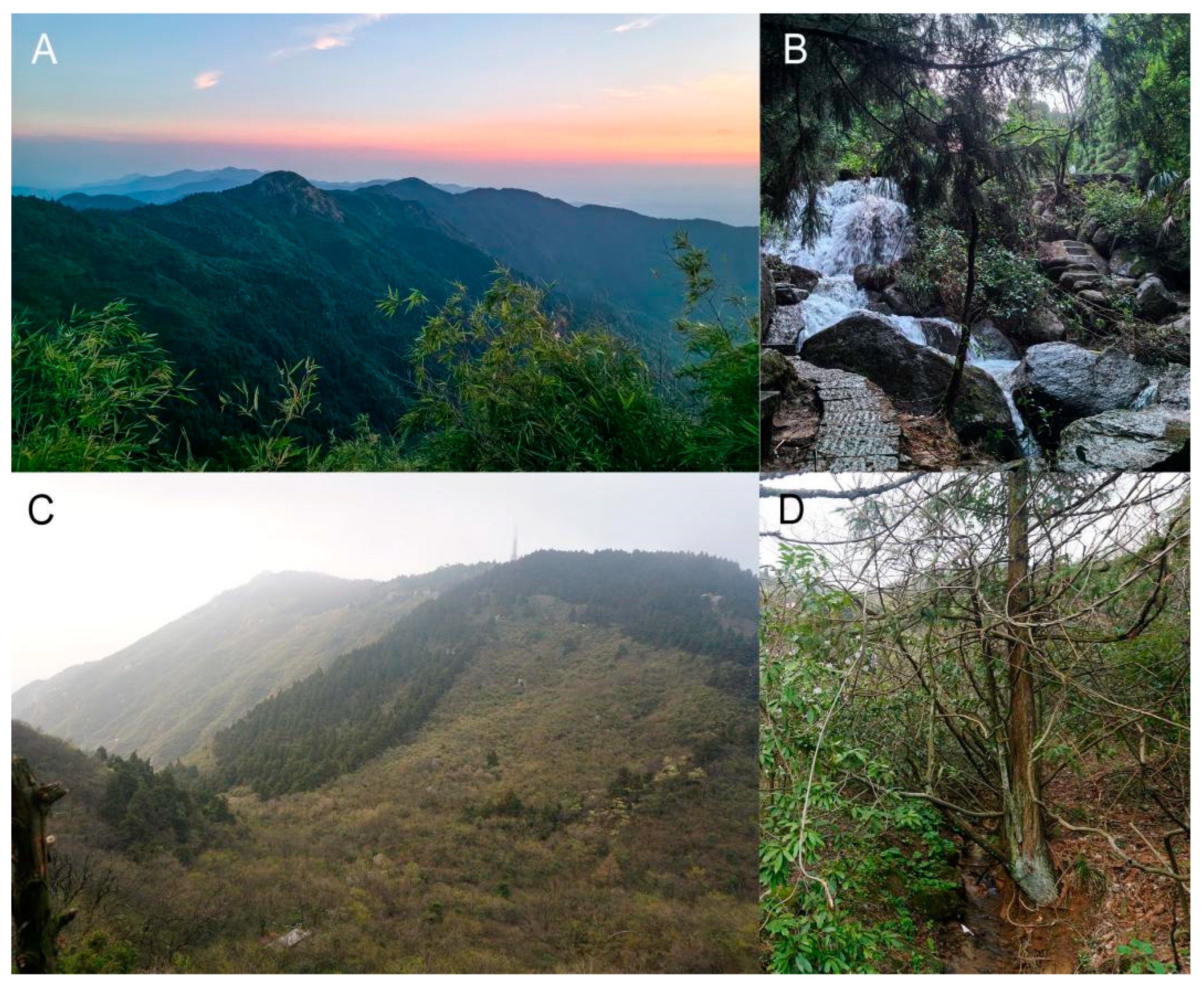 Animals 15 02745 g008