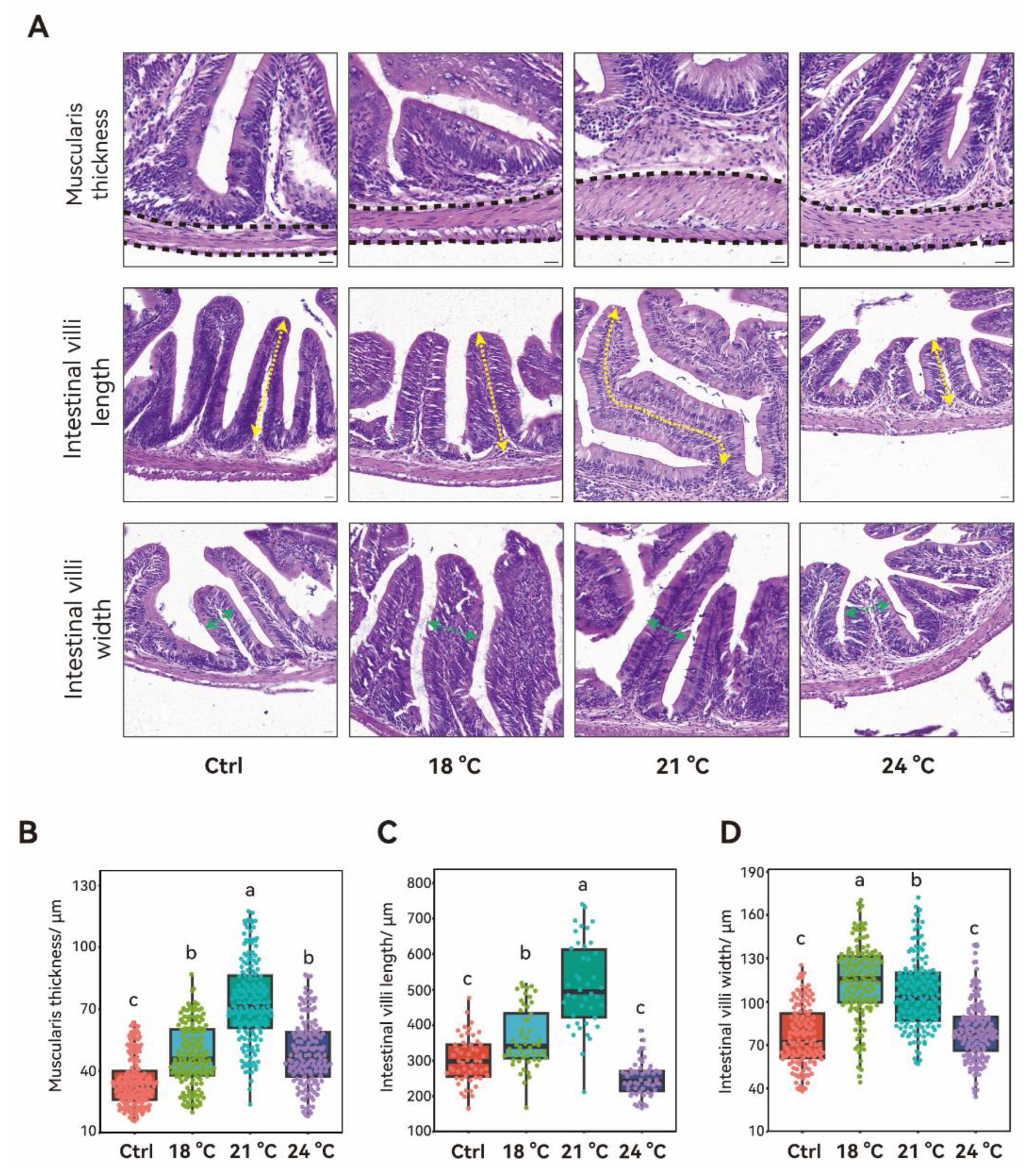 Animals 15 02749 g003 Animals 15 02749 g003