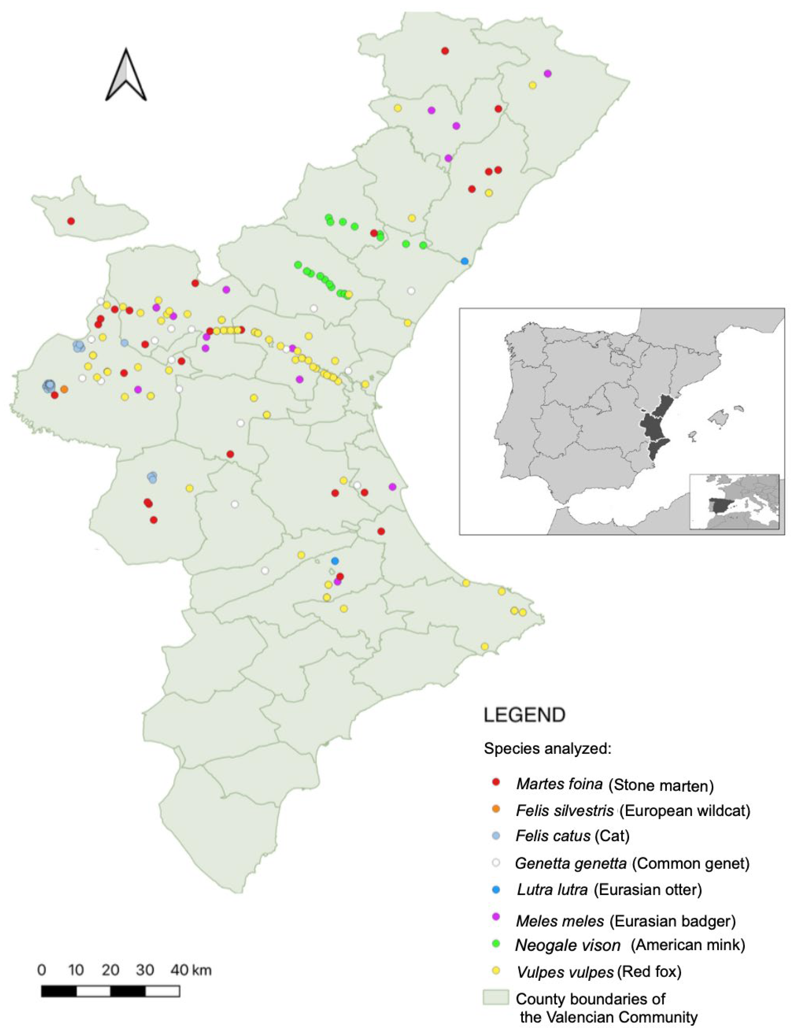 Animals 15 02751 g001