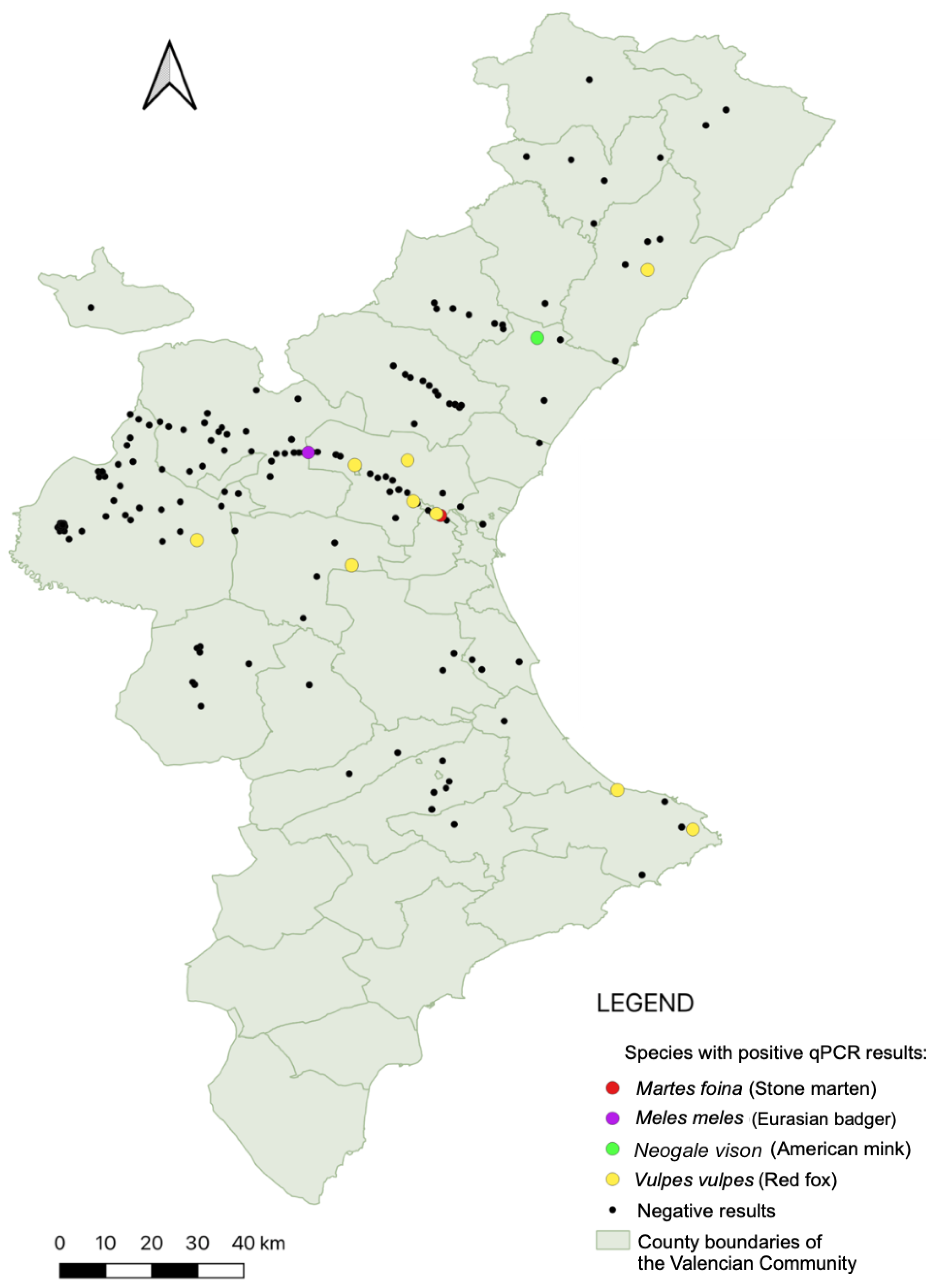 Animals 15 02751 g002